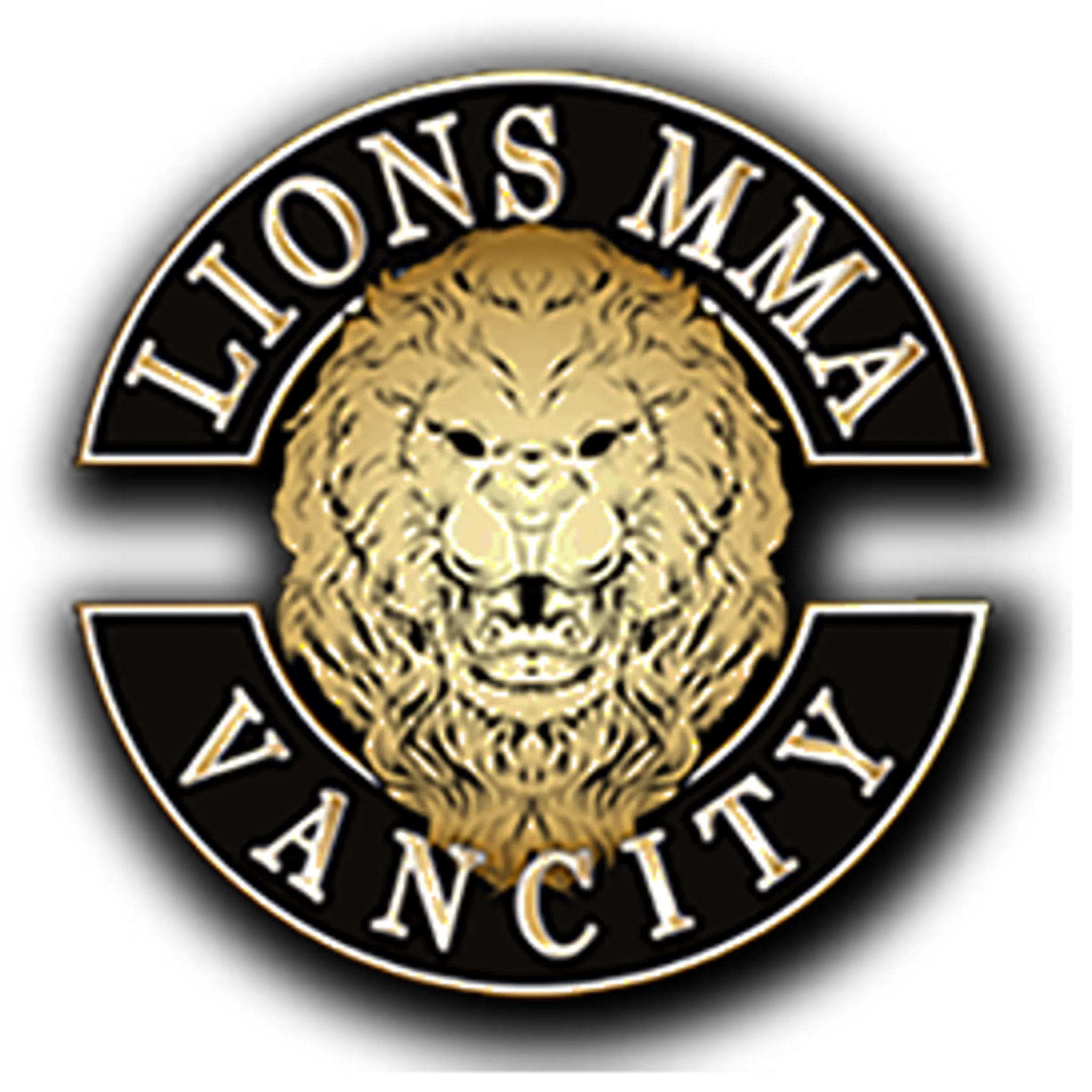 Lions MMA Jiu Jitsu
