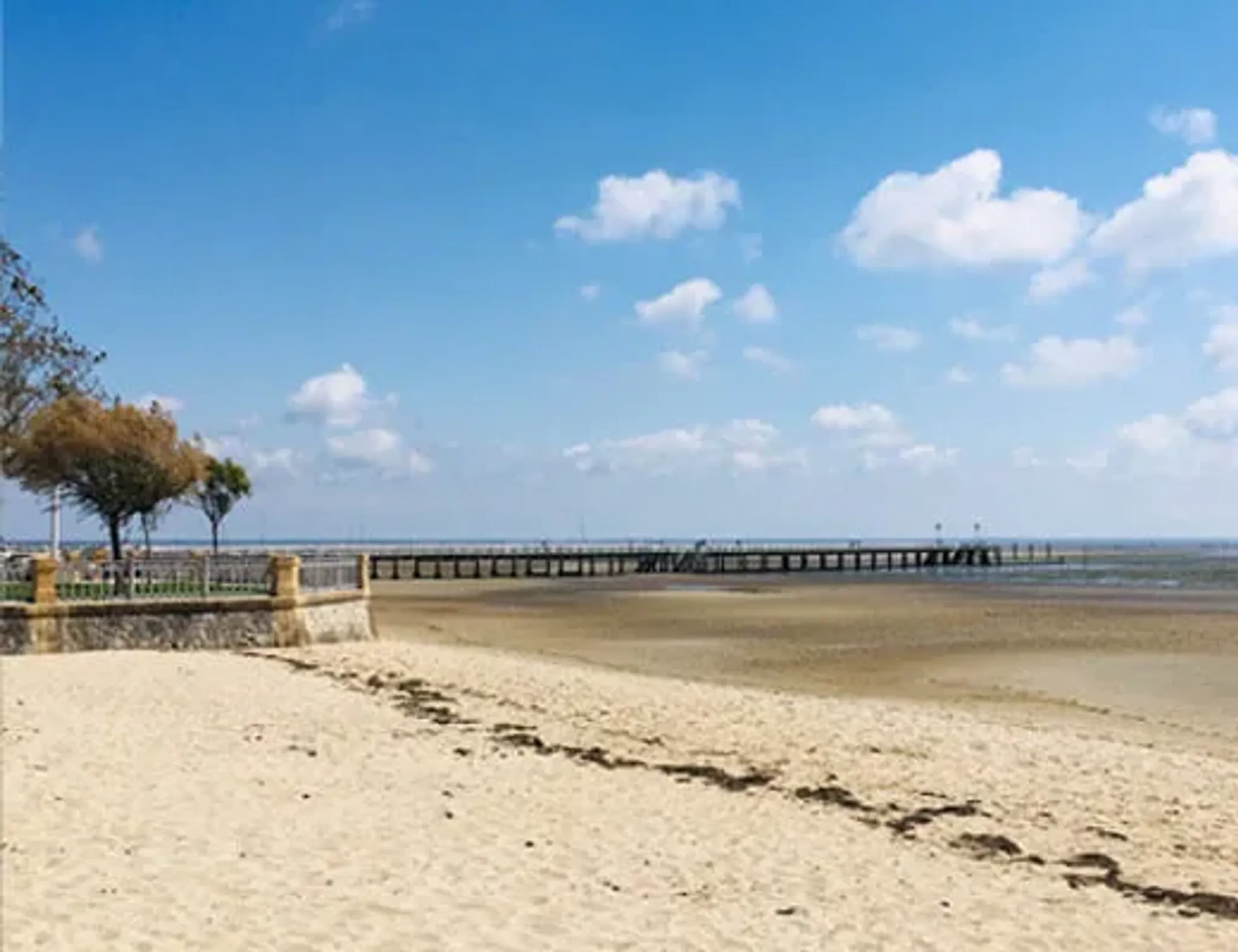 Découverte de Gujan-Mestras et de ses ports