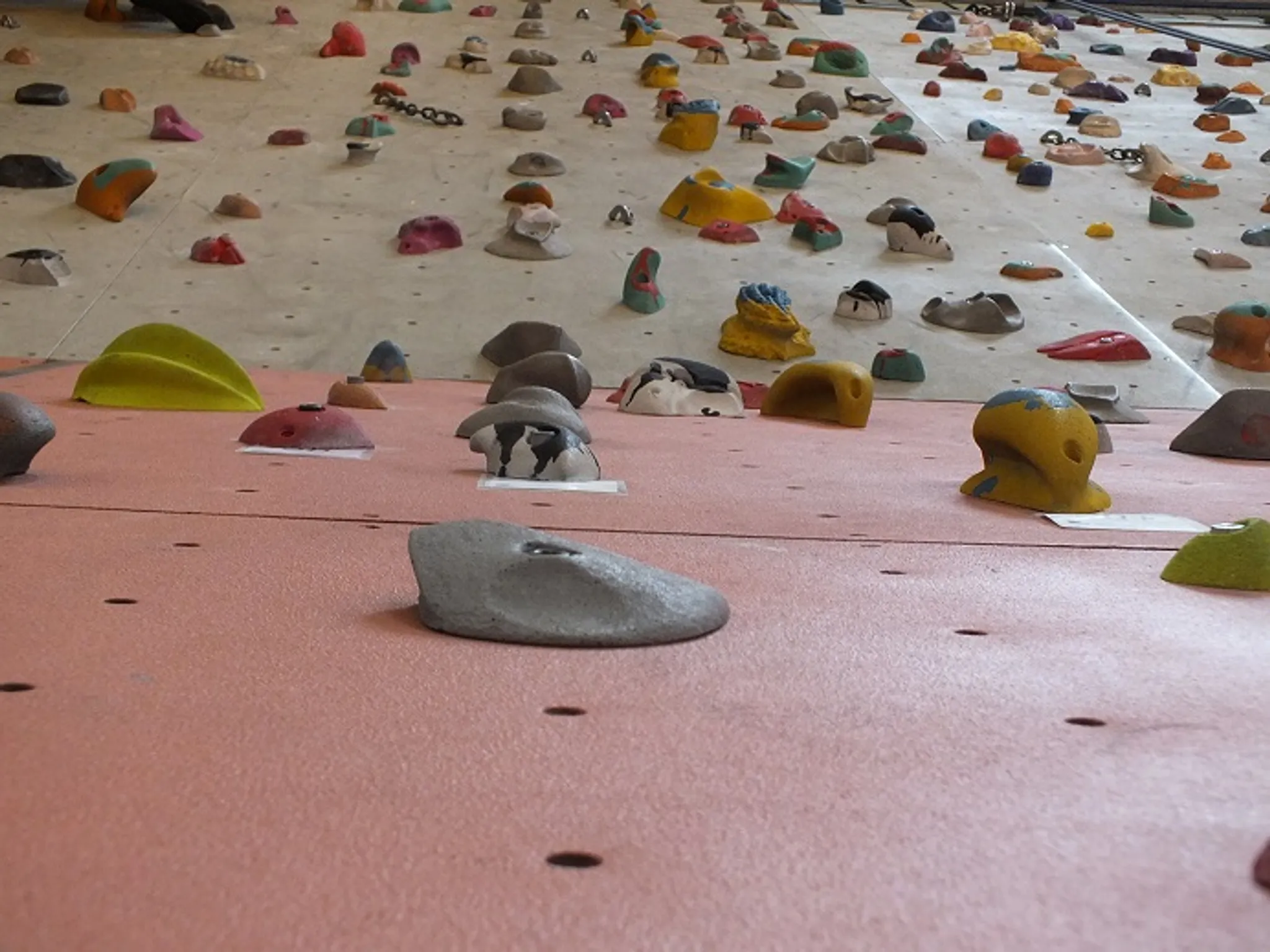 Barbecue de fin d'année