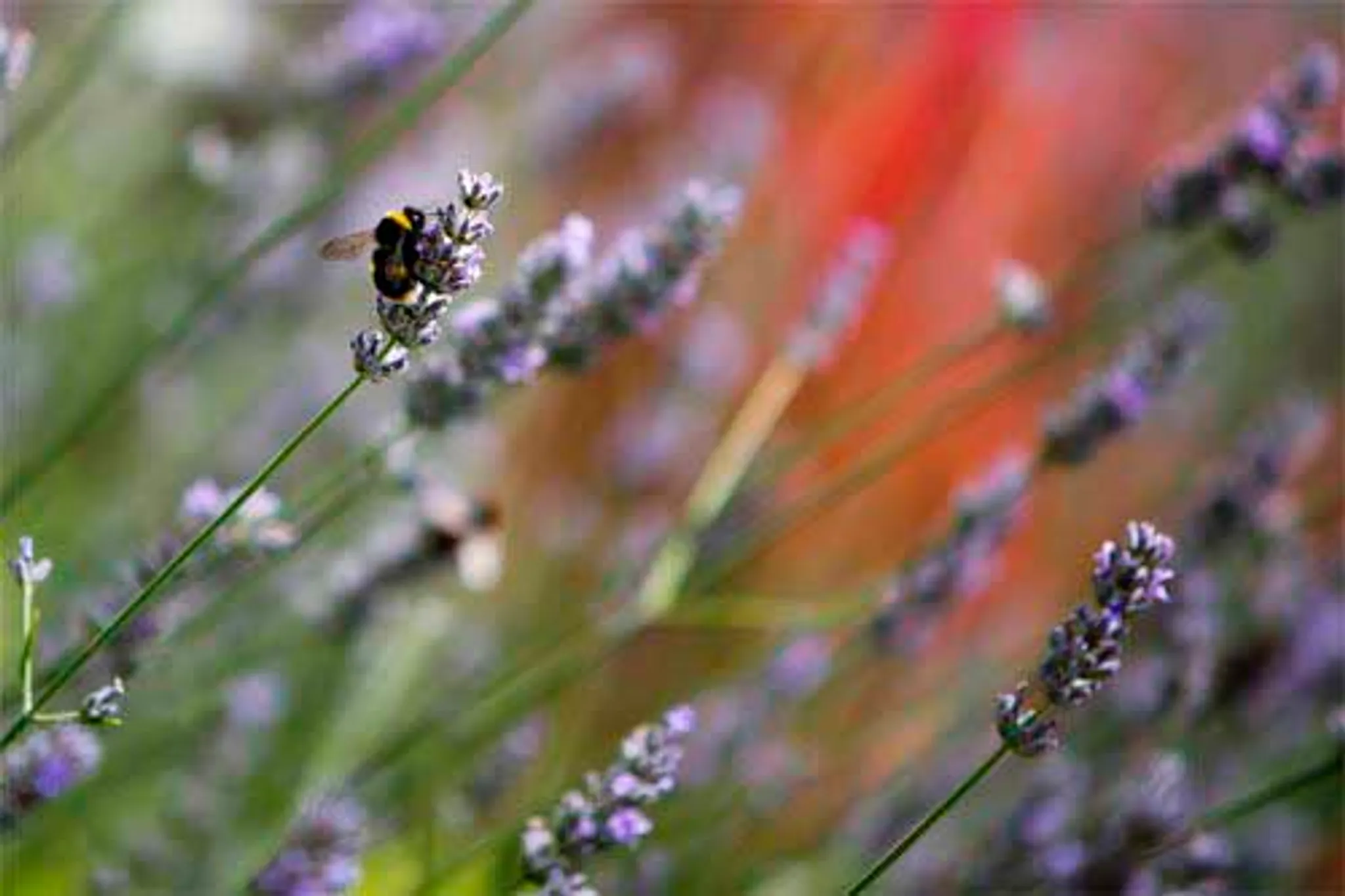 Crook O'Lune Holiday Park