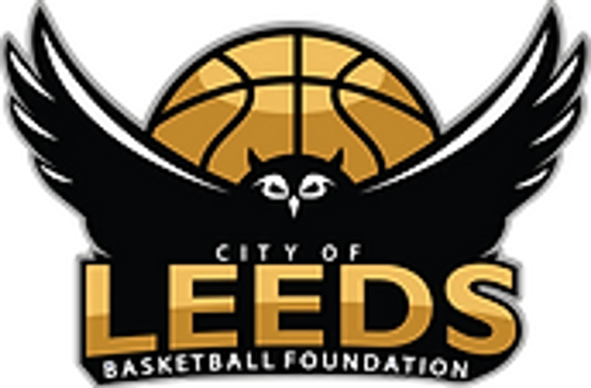City of Leeds Basketball Foundation