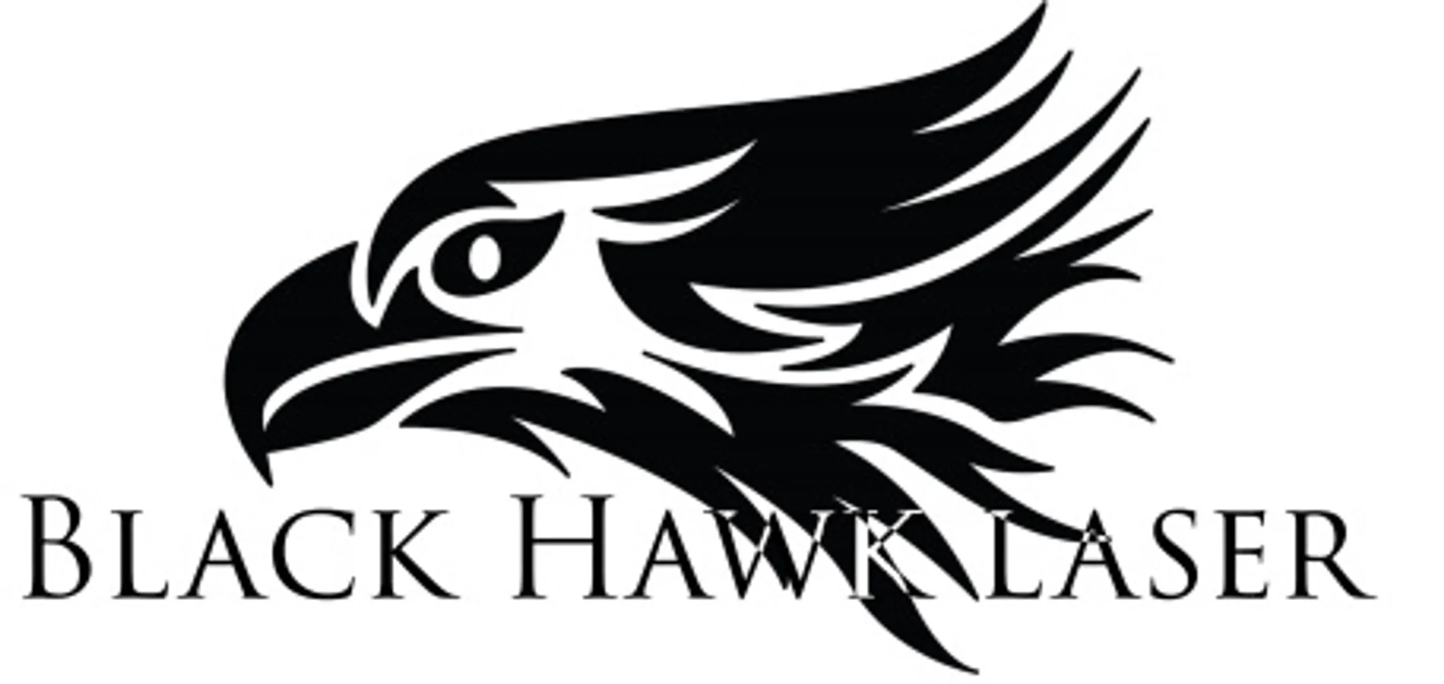 Black Hawk Laser Games Ltd