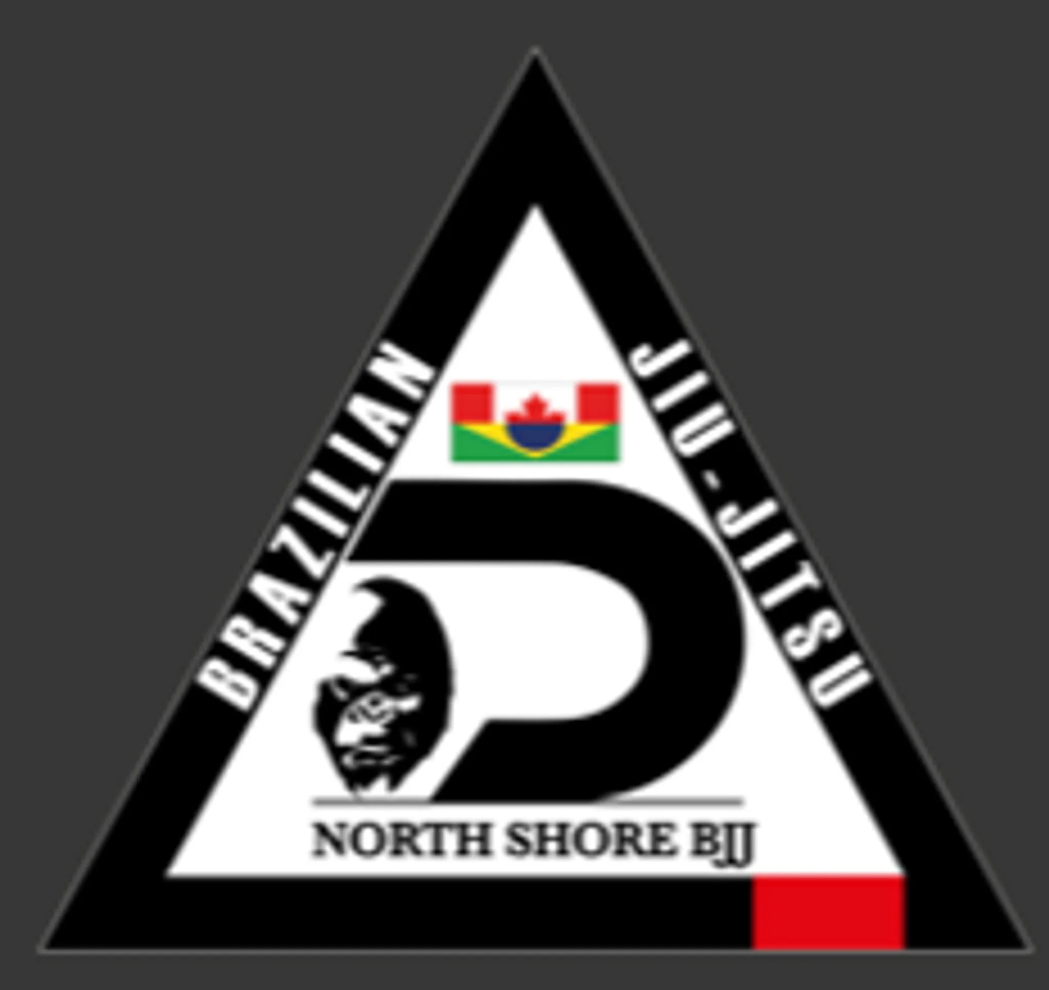 Drekon Martial Arts & Fitns