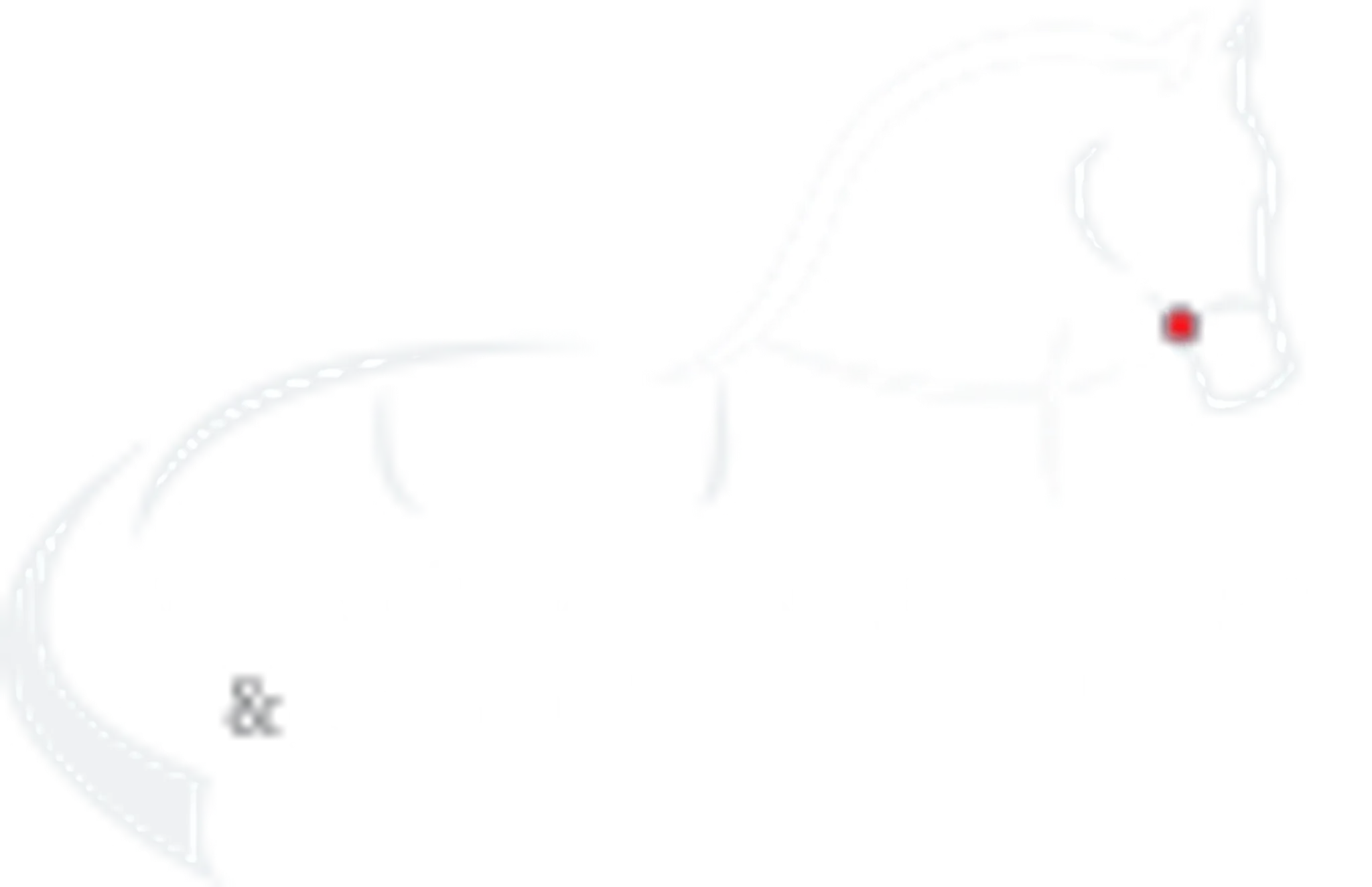 Cliffhollins Riding School