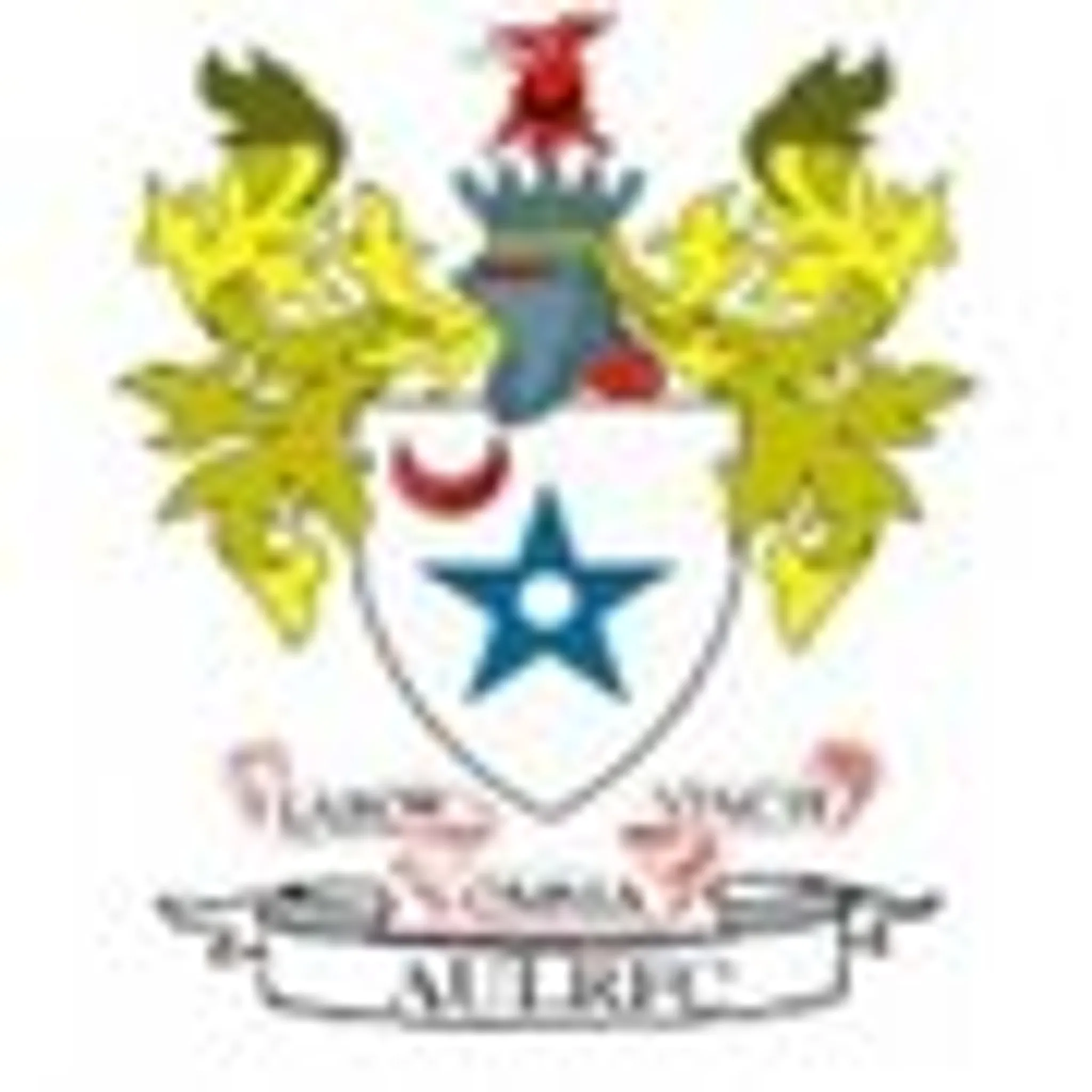 Ashton-under-Lyne R F C