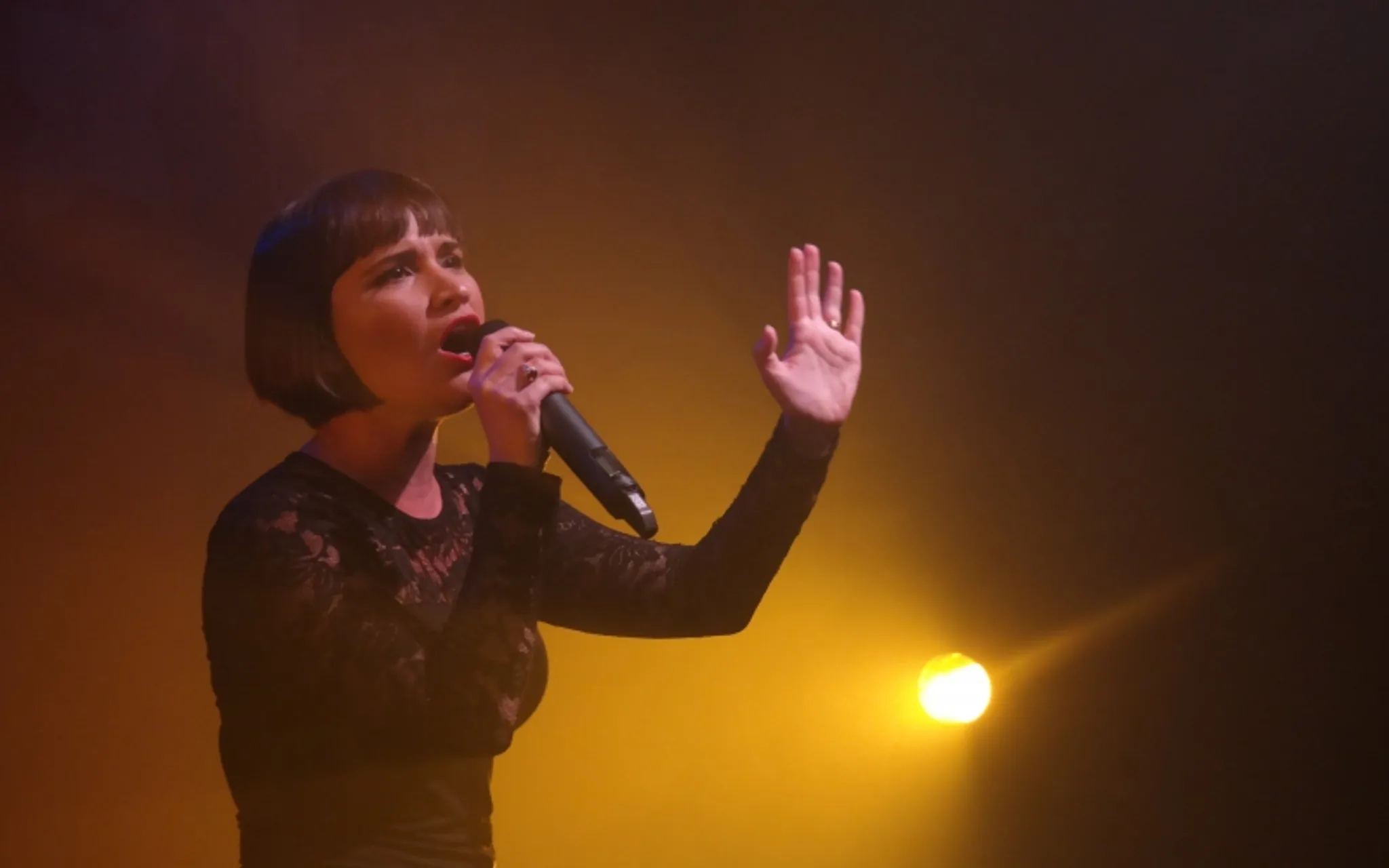 Illawarra Theatre 2024