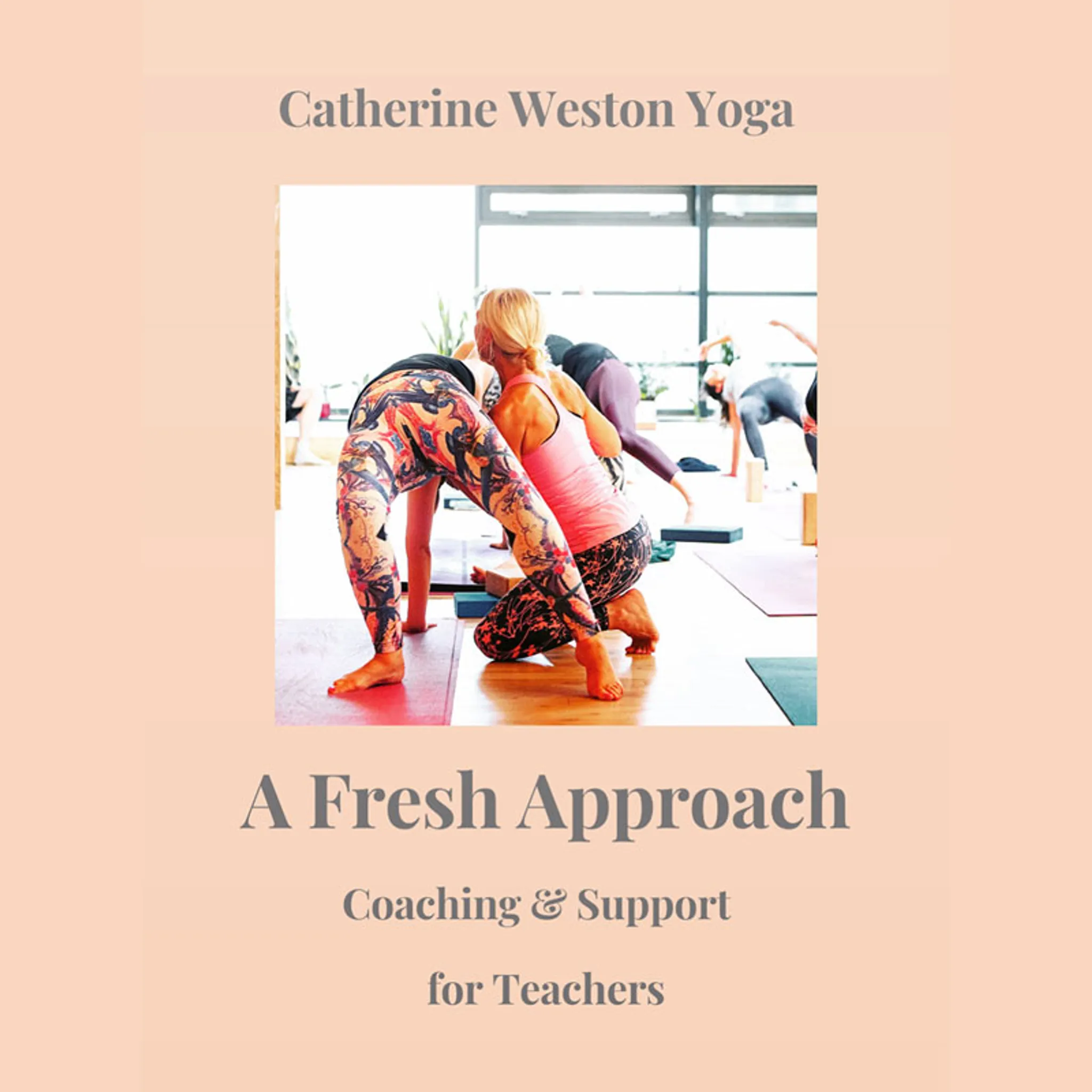 Verbal & Manual Yoga Assists & Adjusts Workshop