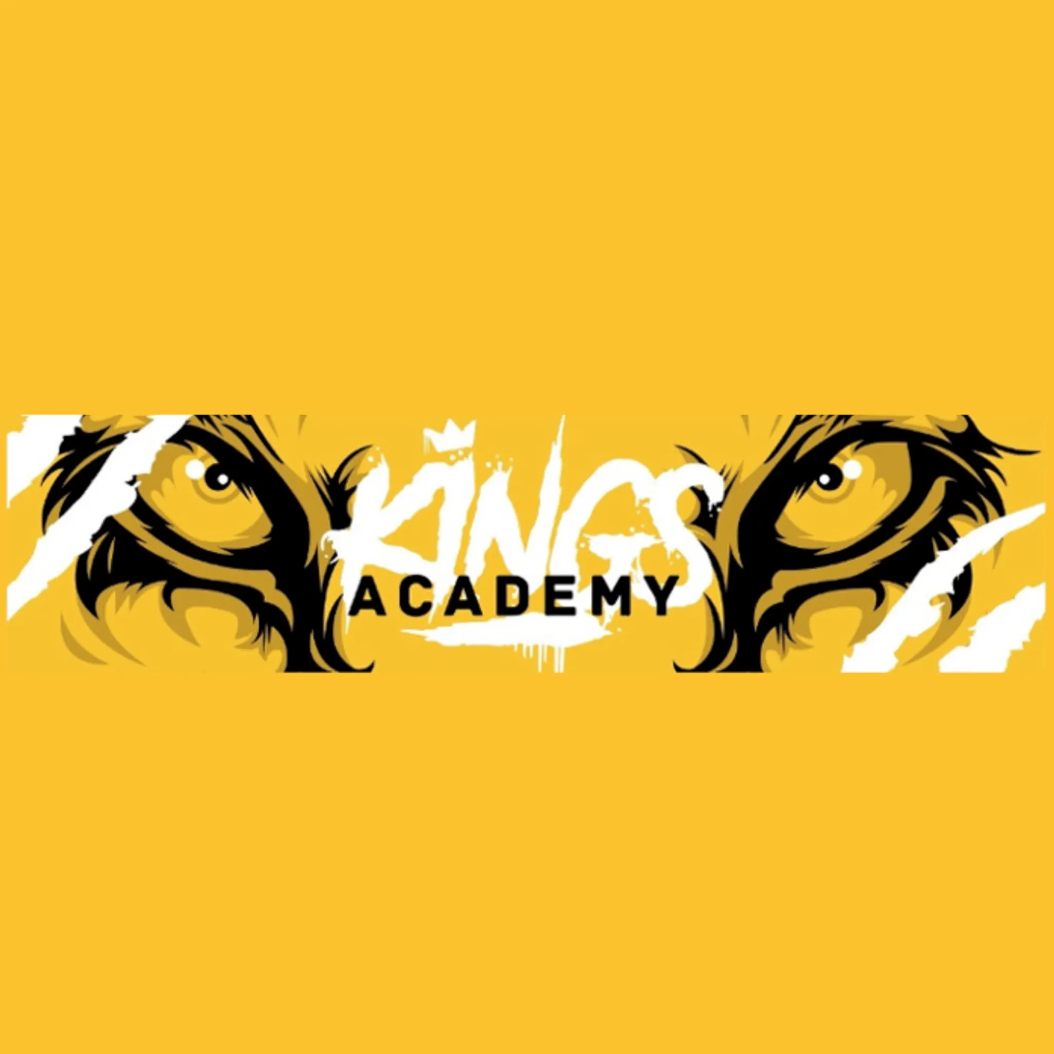 Kings Academy of Martial Arts