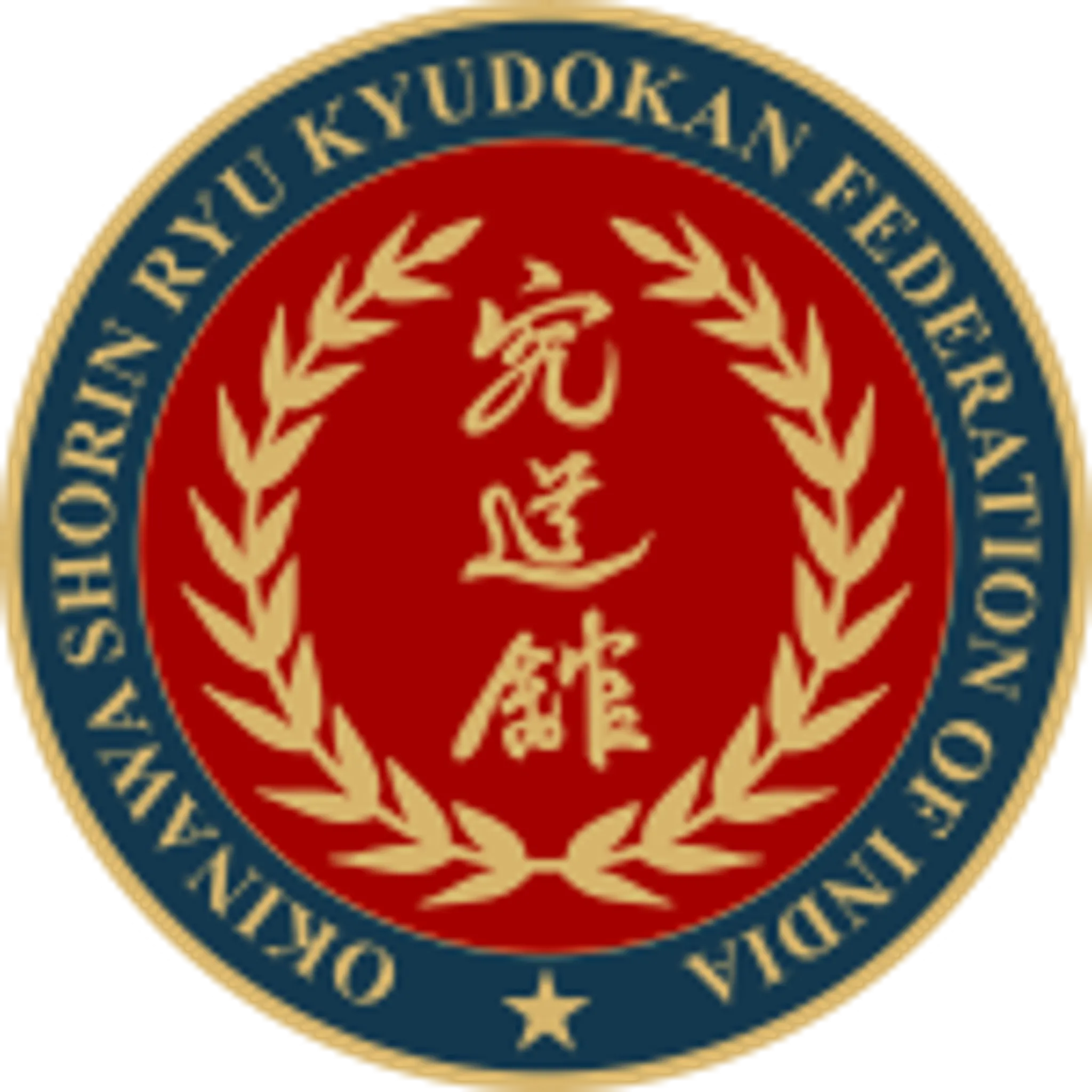 Kyudokan karate international school