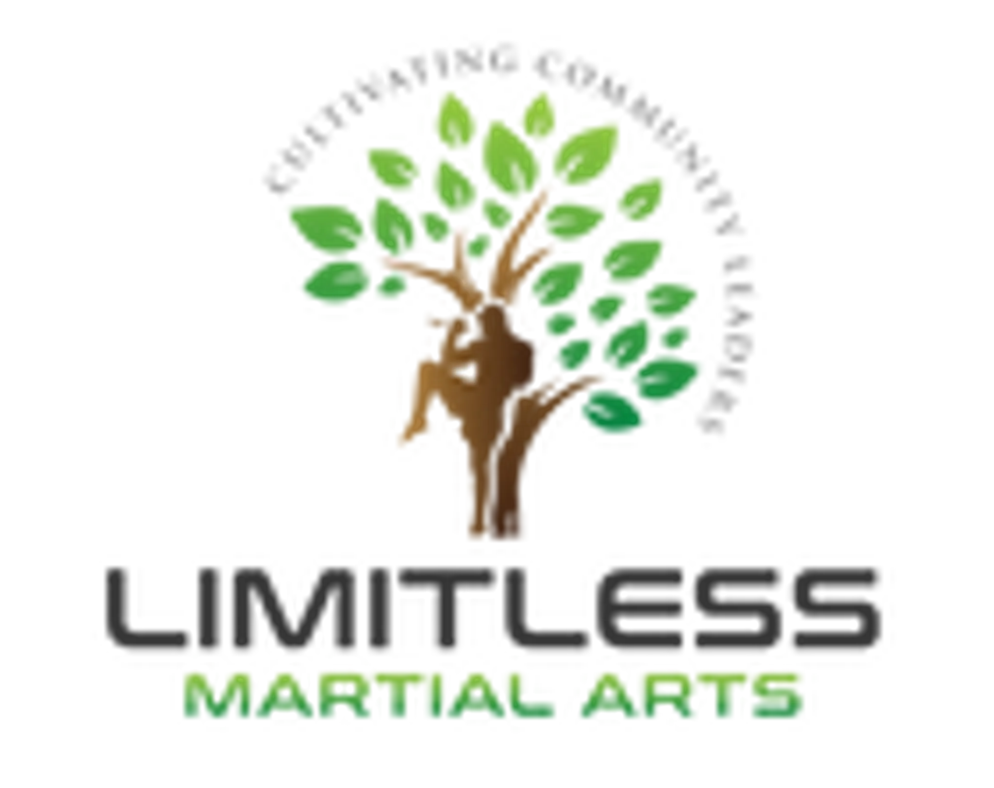 Online Virtual Martial Arts Classes