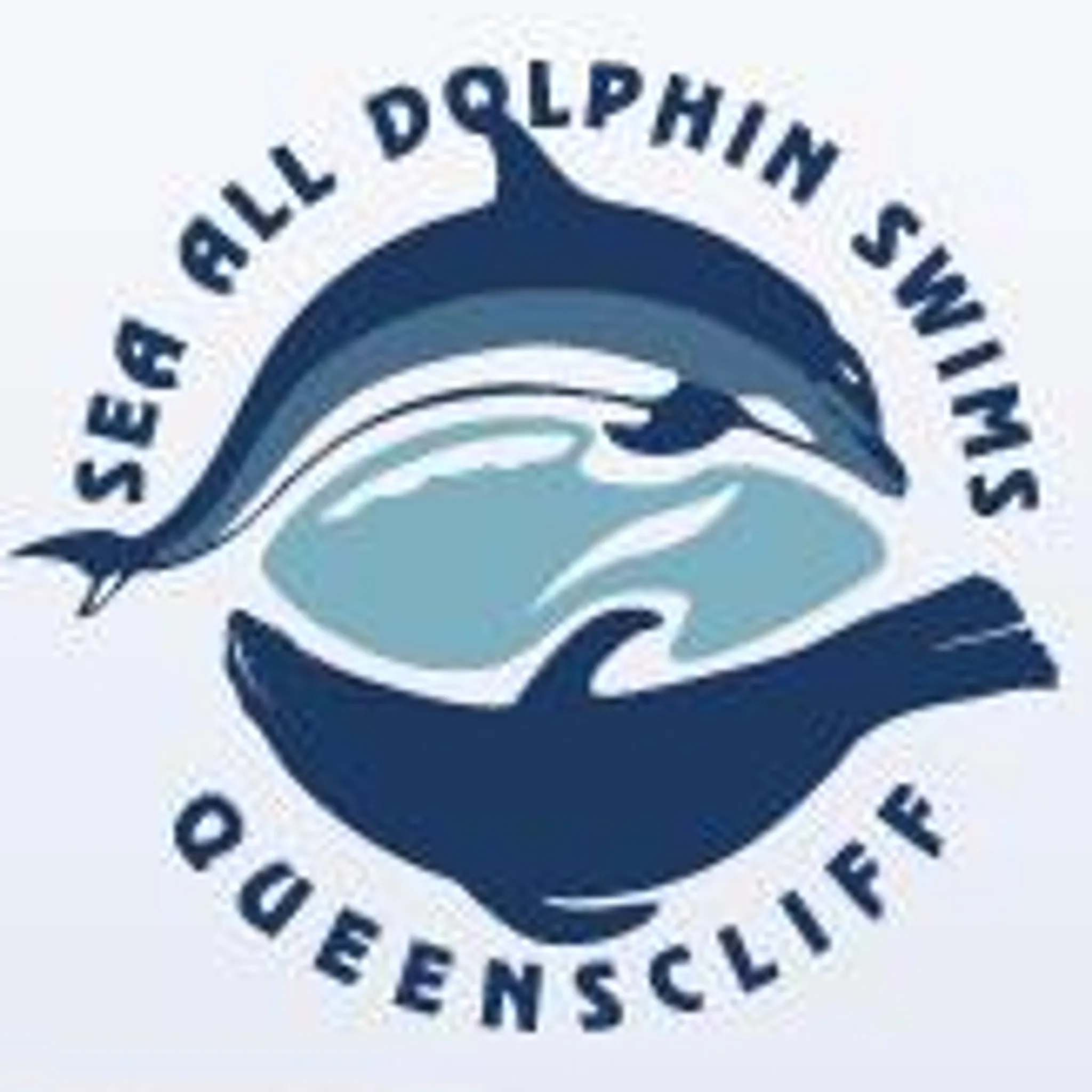 Sea All Dolphin Swims