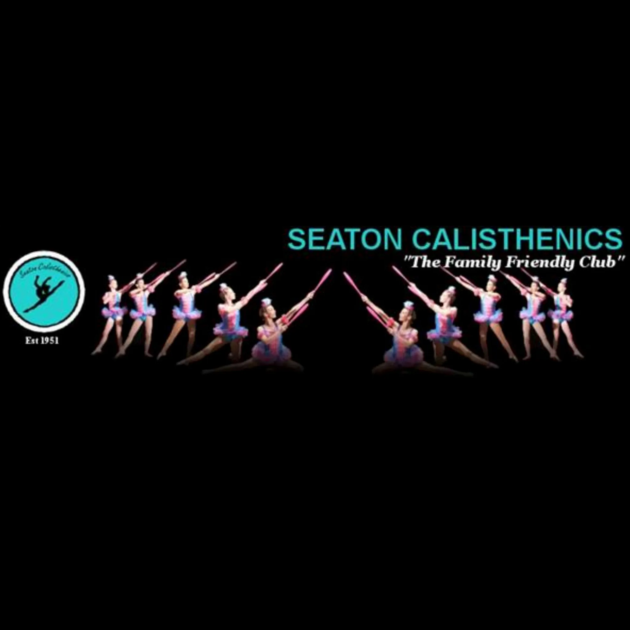 Seaton Calisthenics Club