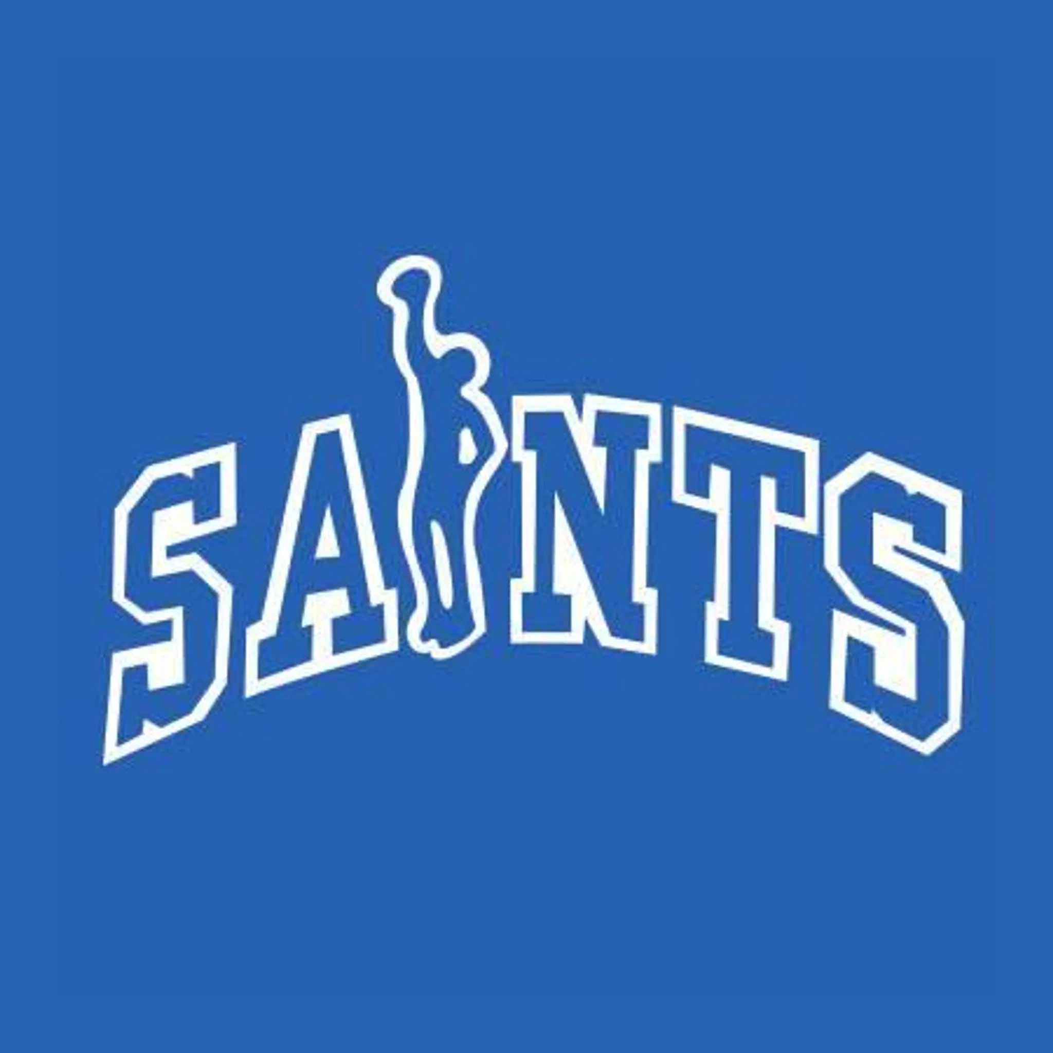 St Edmunds Basketball Club (The Siants)