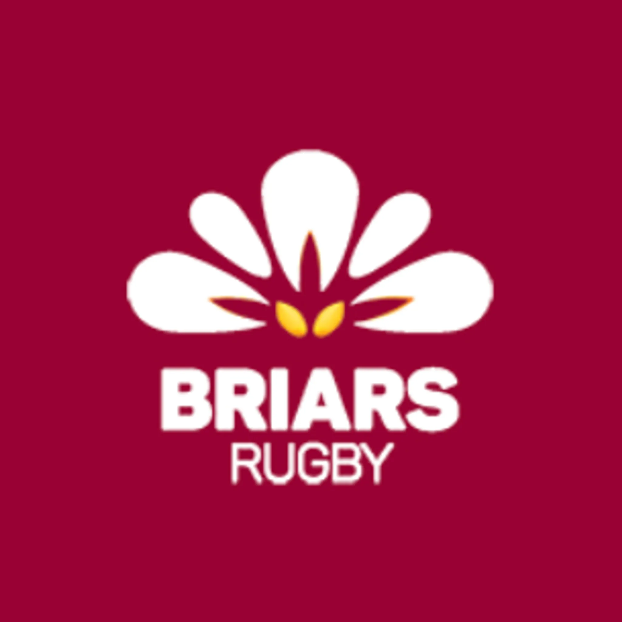 Briars Rugby Club