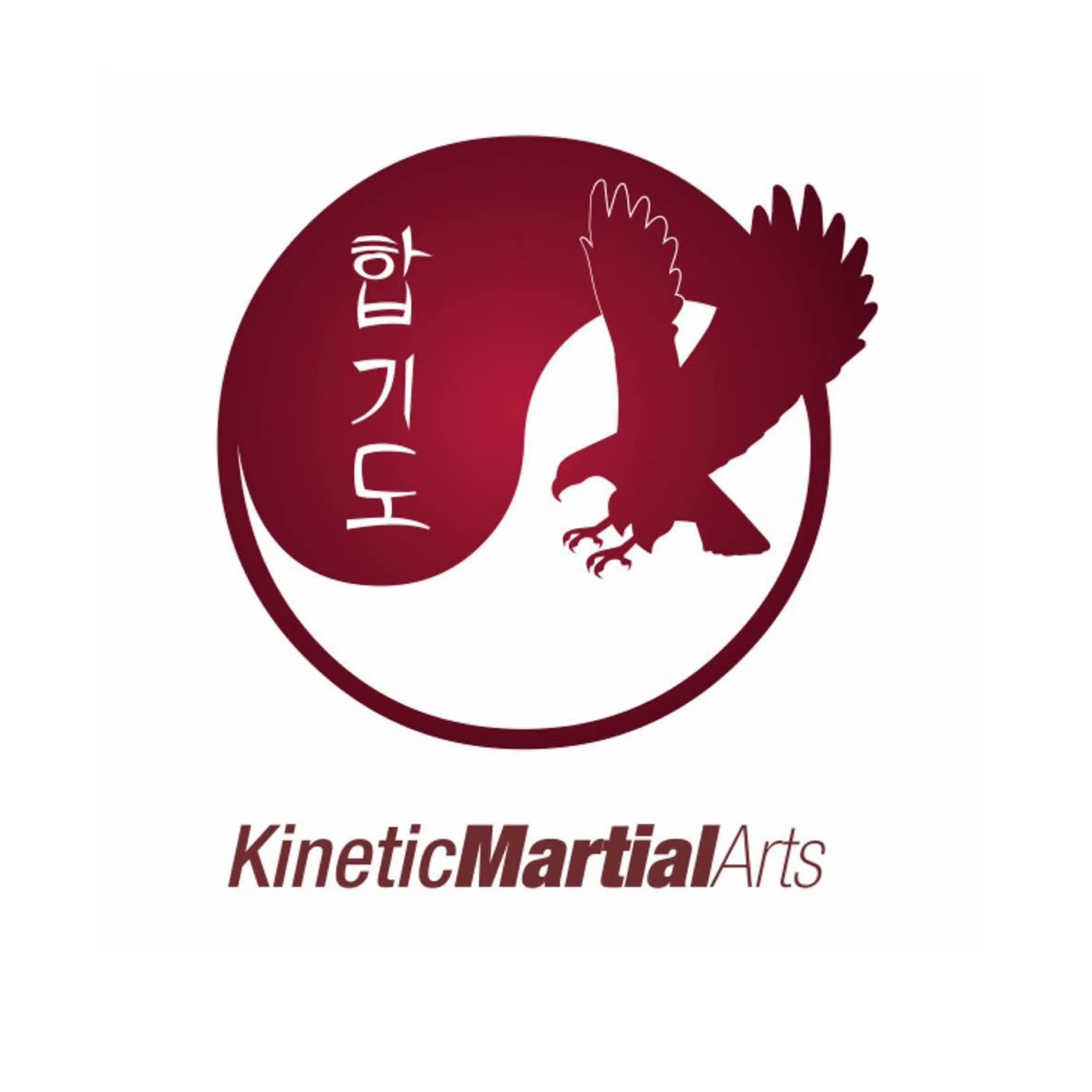 Kinetic Martial Arts-Menai