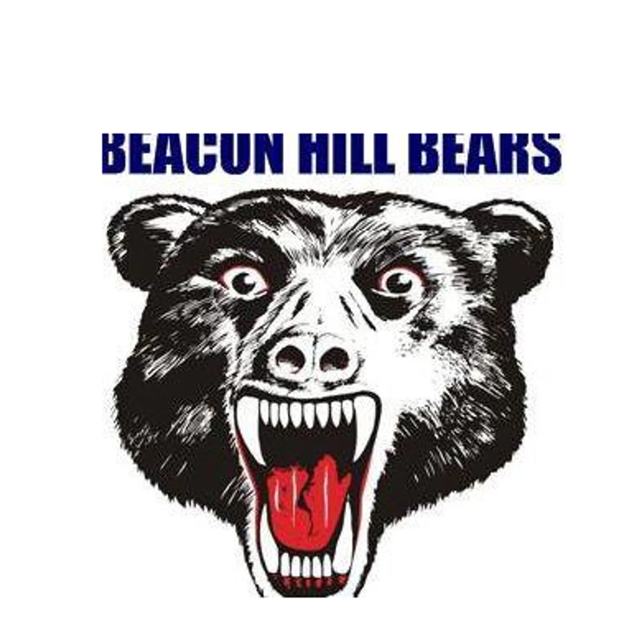 Beacon Hill Bears JRLFC