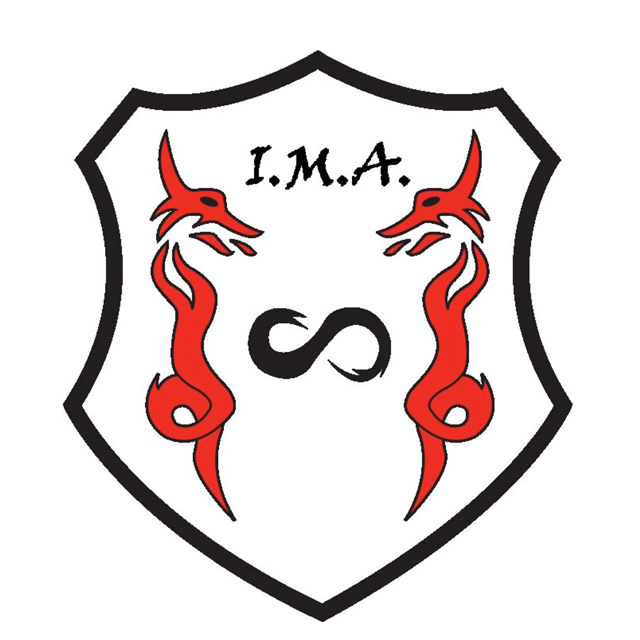 Infinity Martial-Arts Academy