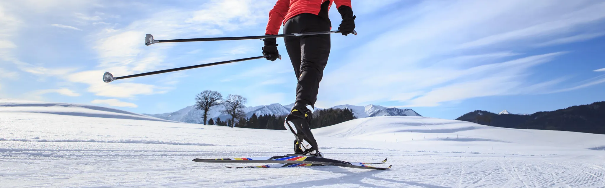 Cross Country Skiing banner