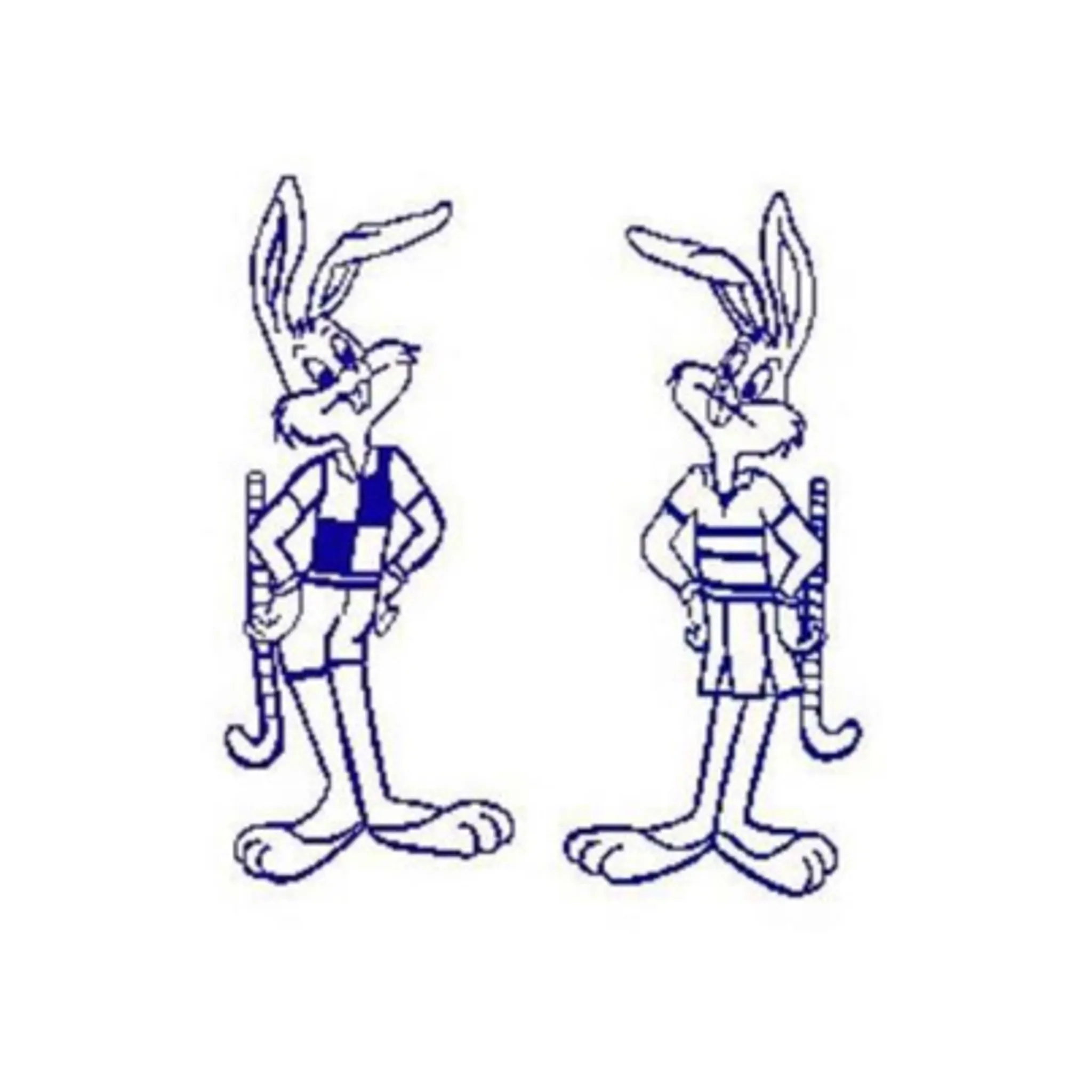 South Bathurst Hockey Club