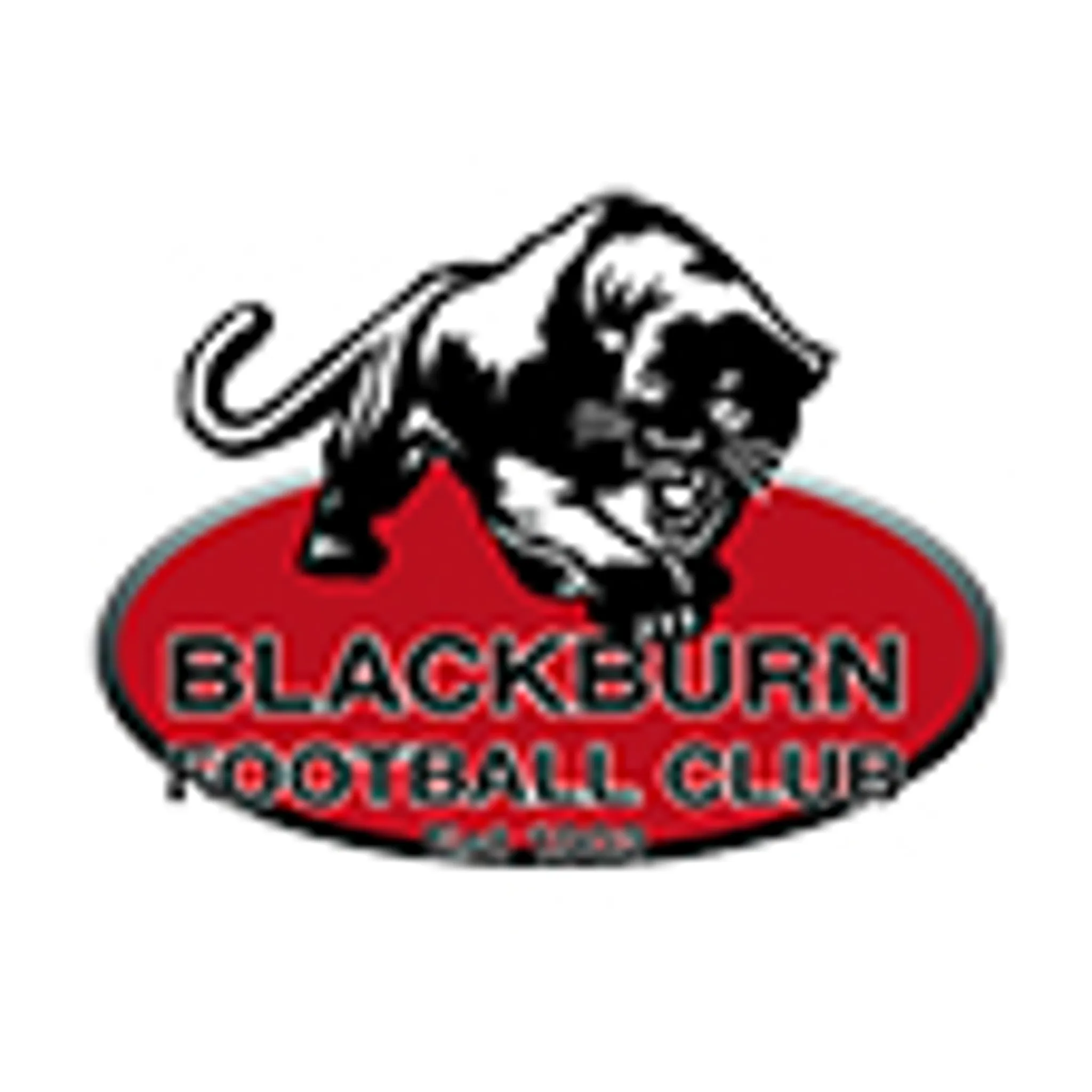 Blackburn Lake Auskick