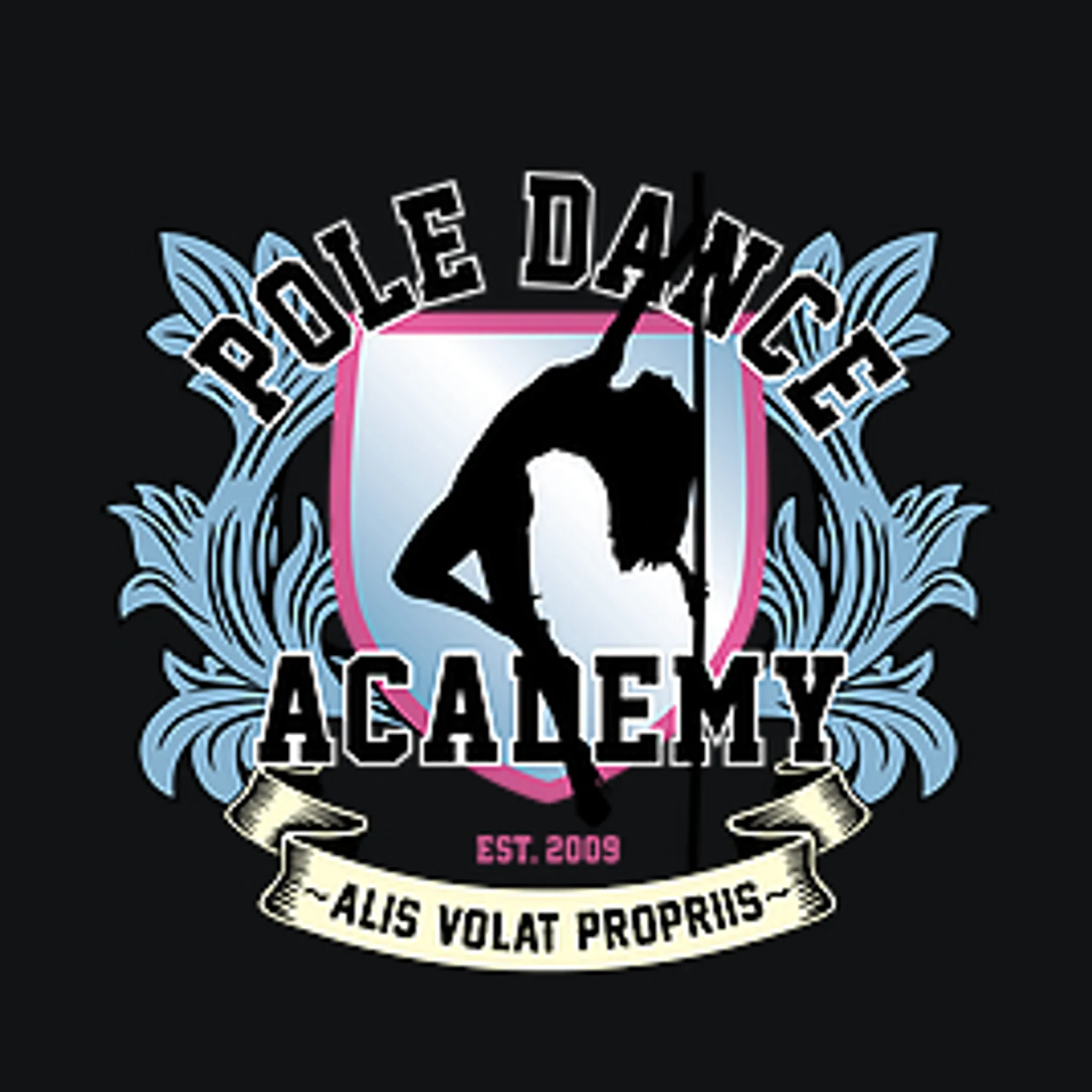 The Pole Dance Academy