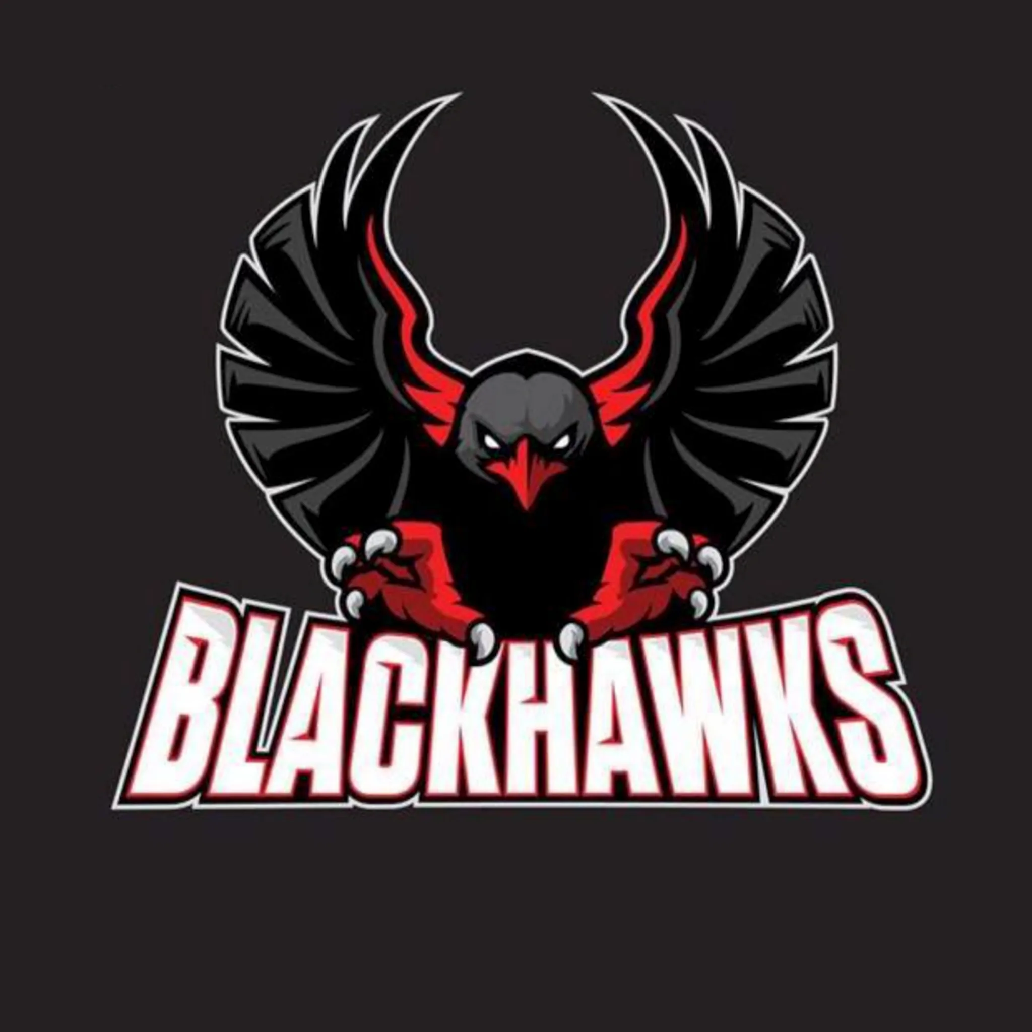 Blackhawks Ice Hockey Club