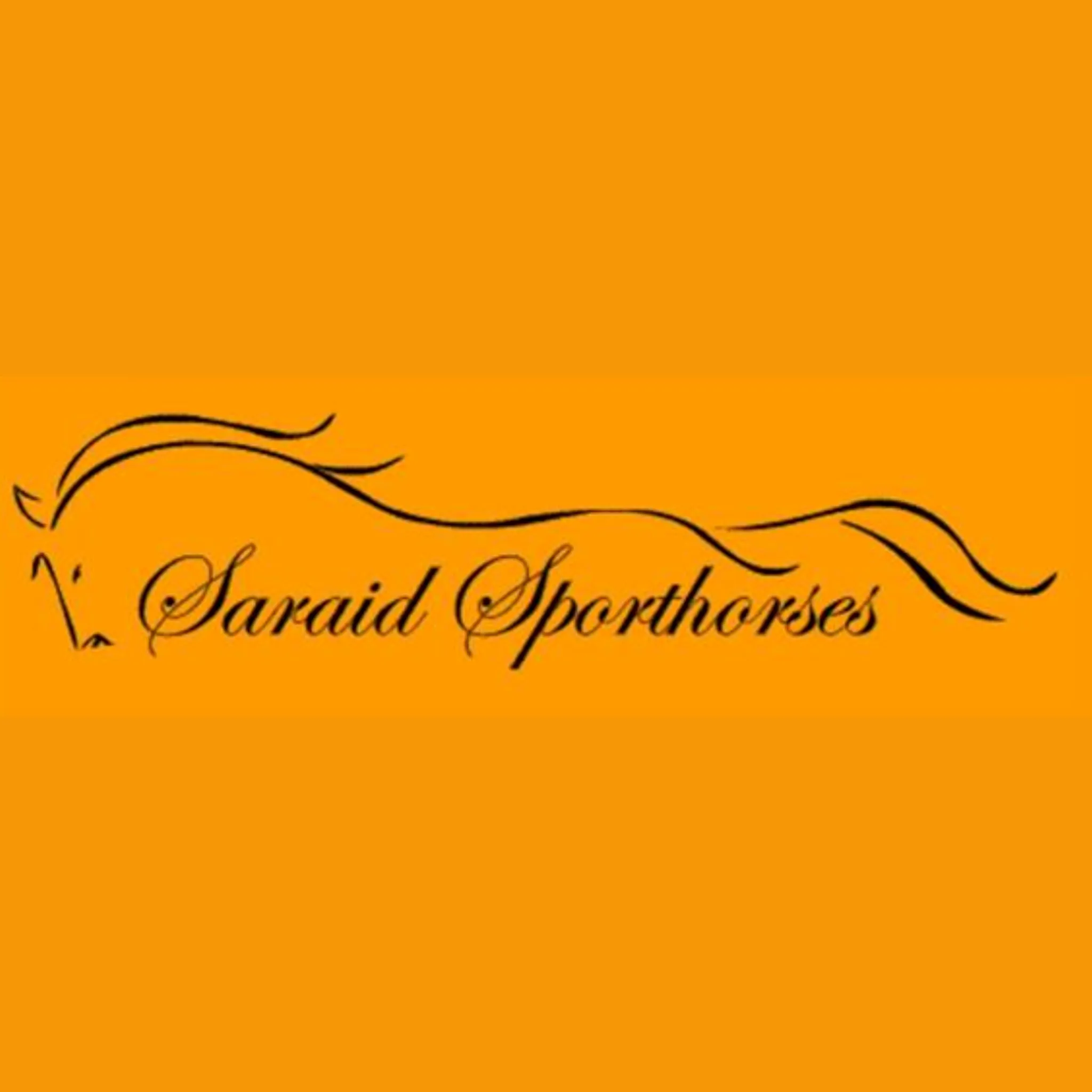 Saraid Sporthorses - Horse Riding Instruction and Breeding