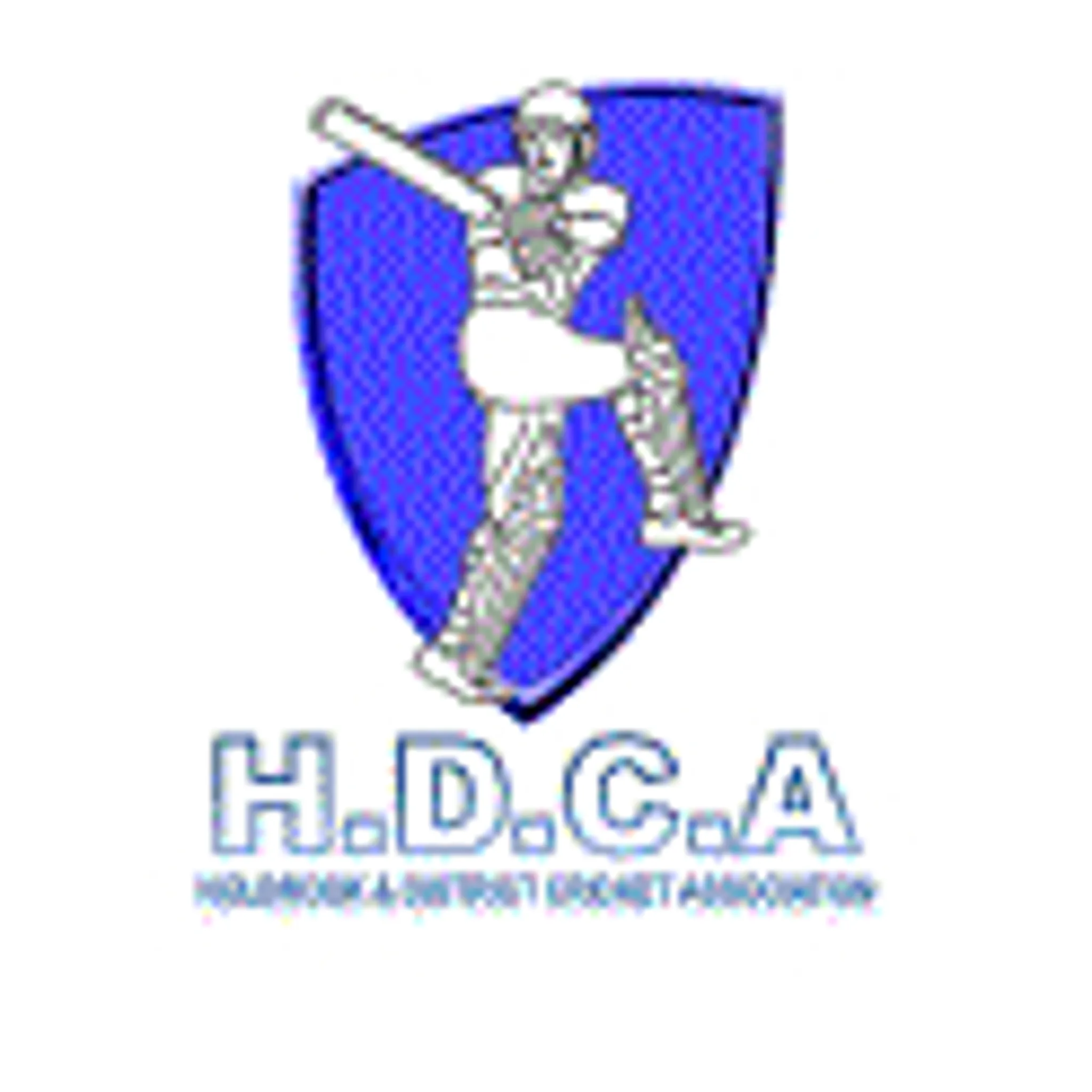 Holbrook & District Cricket Association 