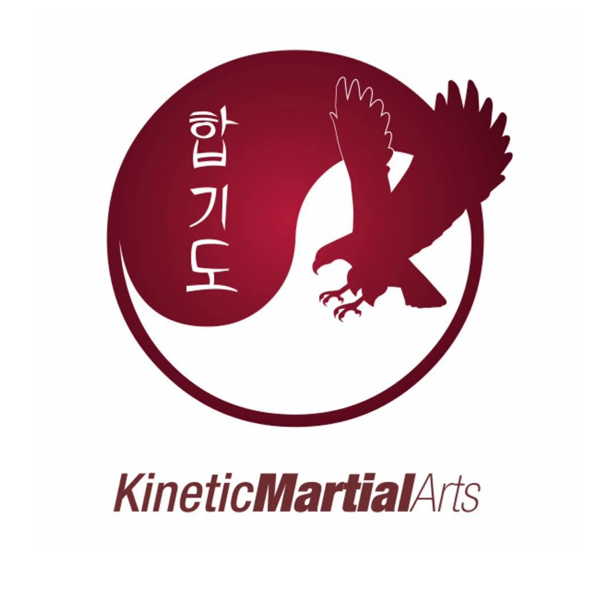 Kinetic Martial Arts-Wollongong