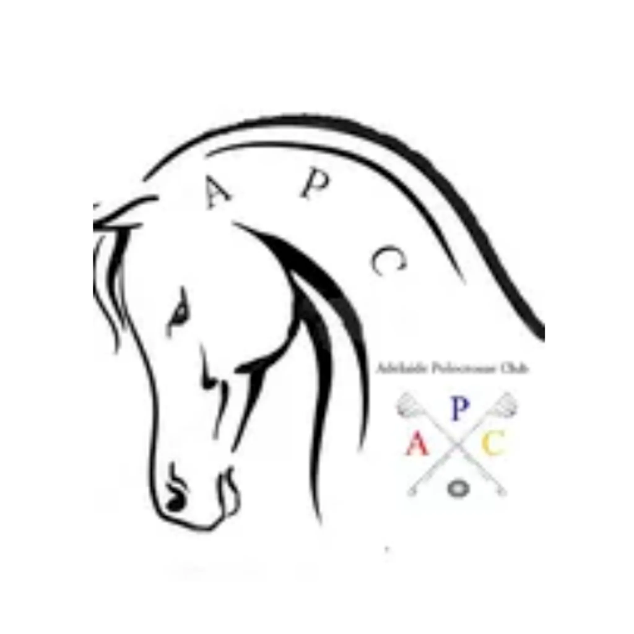 Adelaide Polocrosse Club