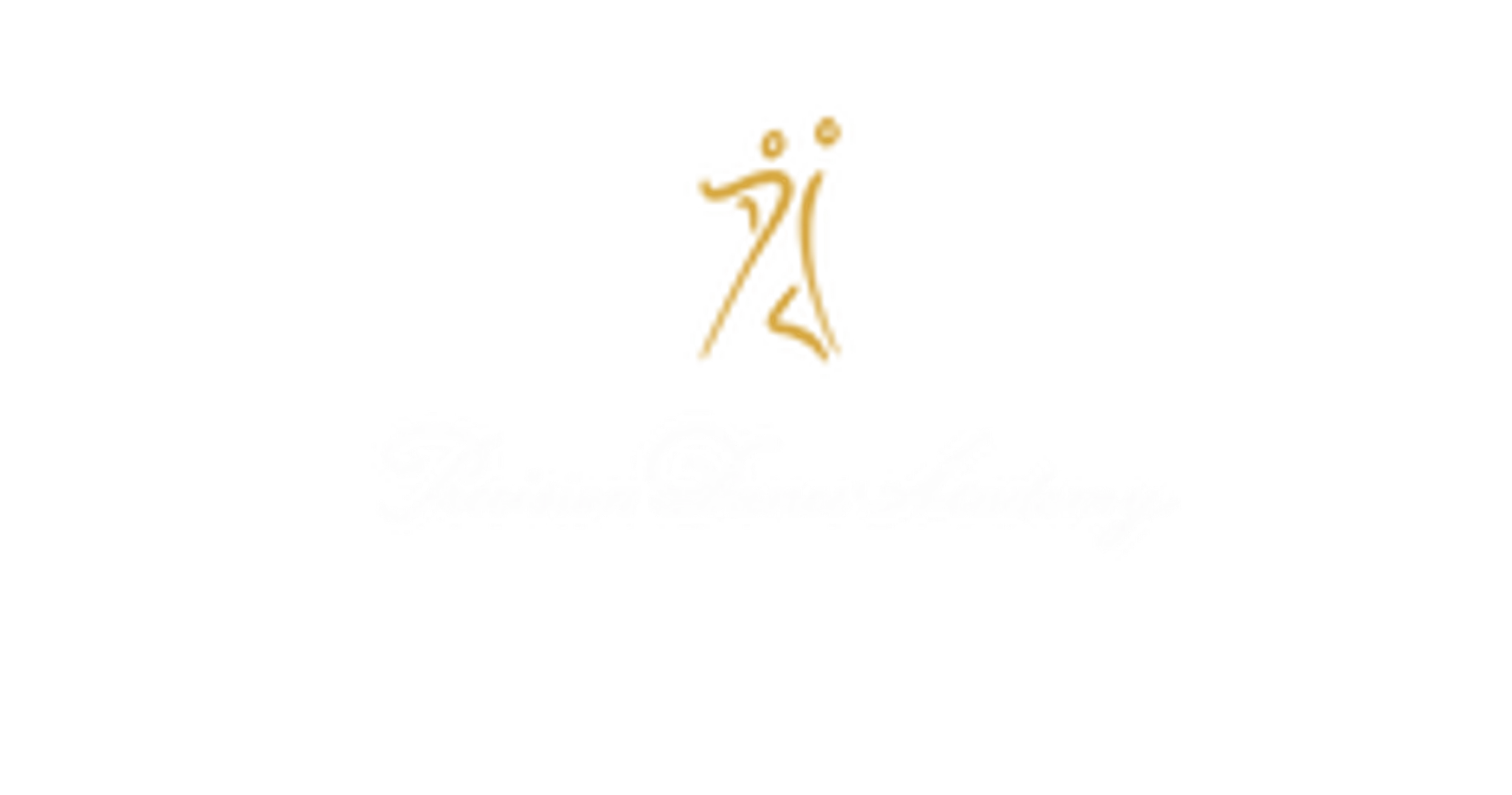 Precision Dance Academy Ltd