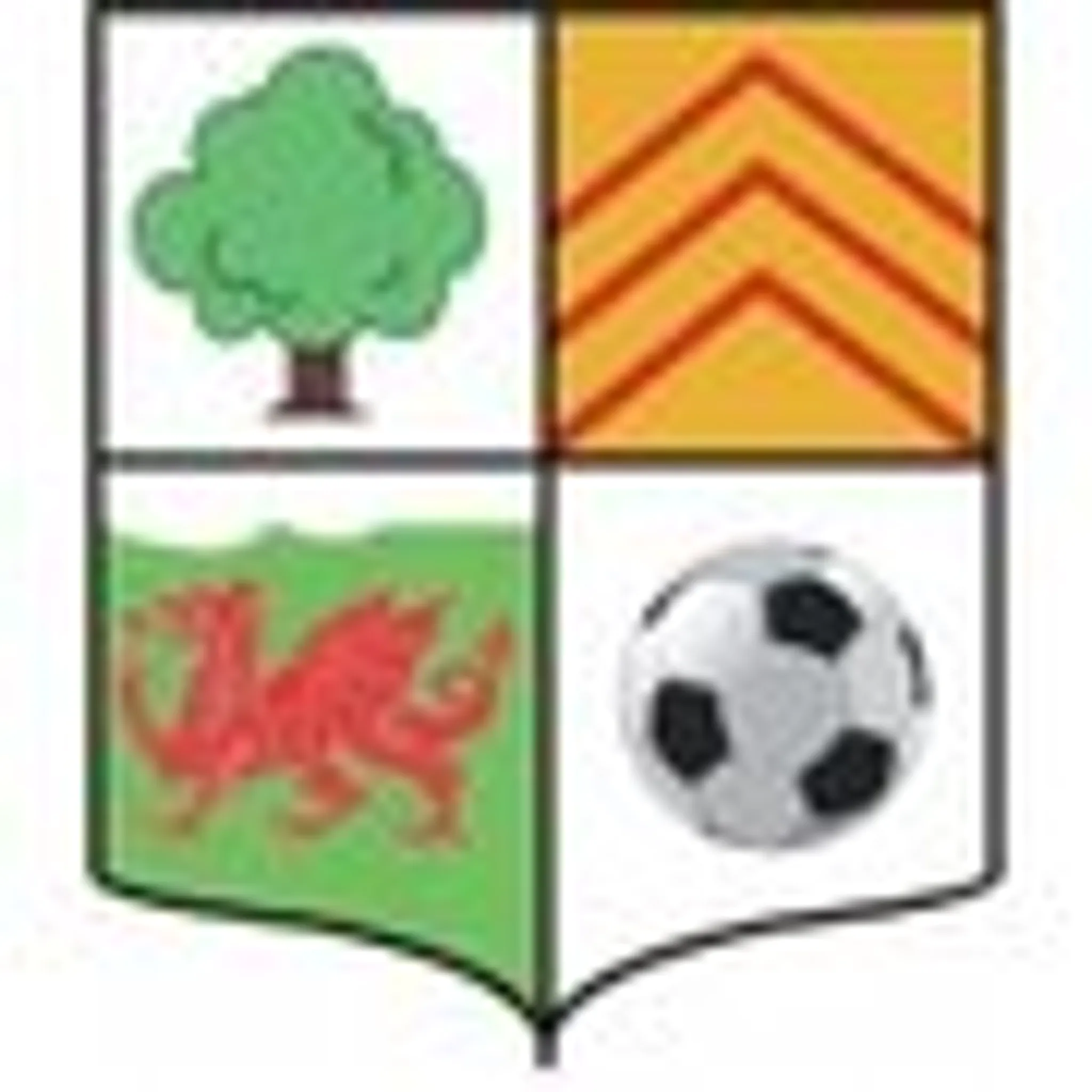 AFC Llwydcoed