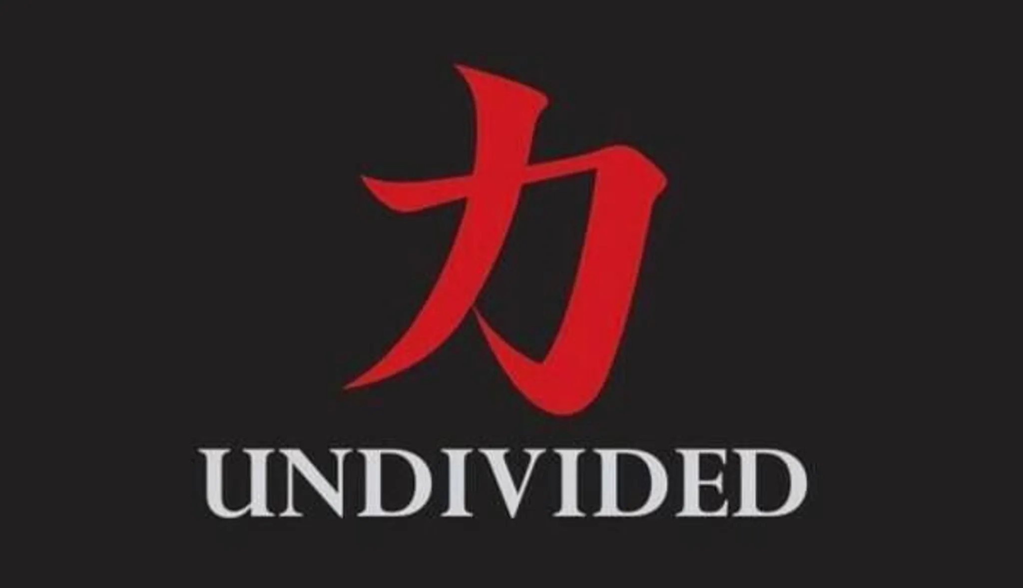 UNDIVIDED Personal Training and Fitness Studio