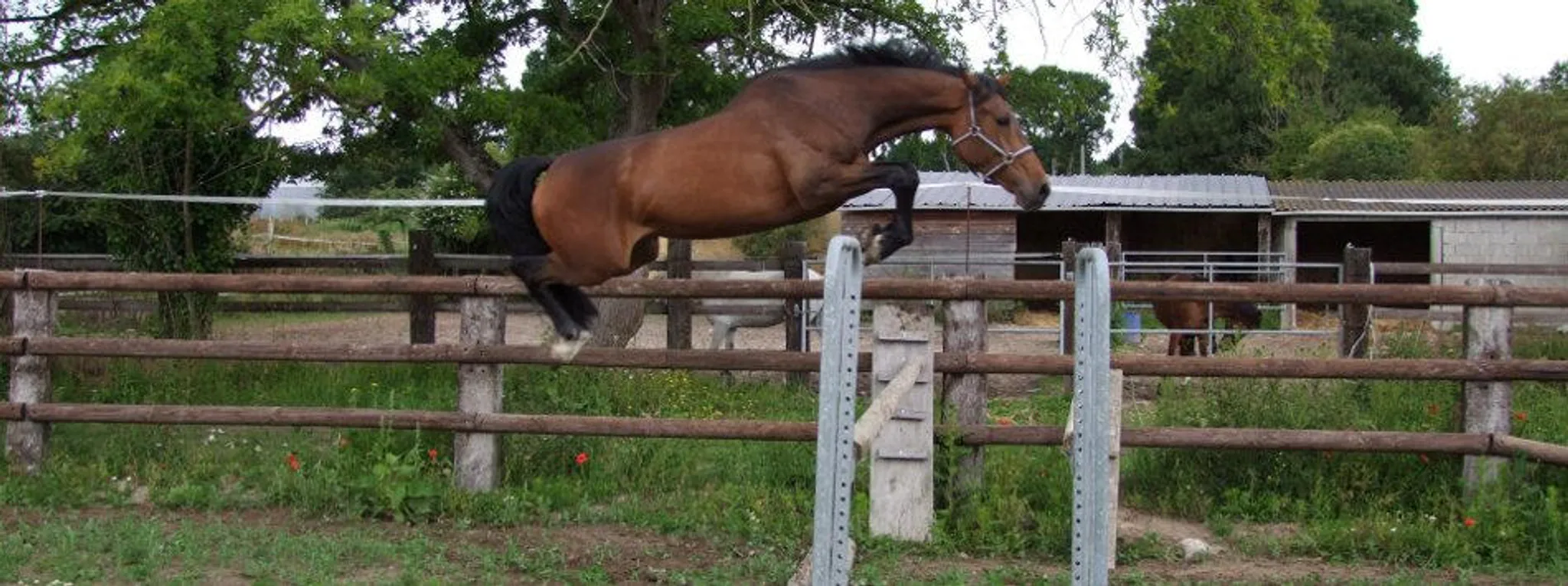Stage initiation mountain trail