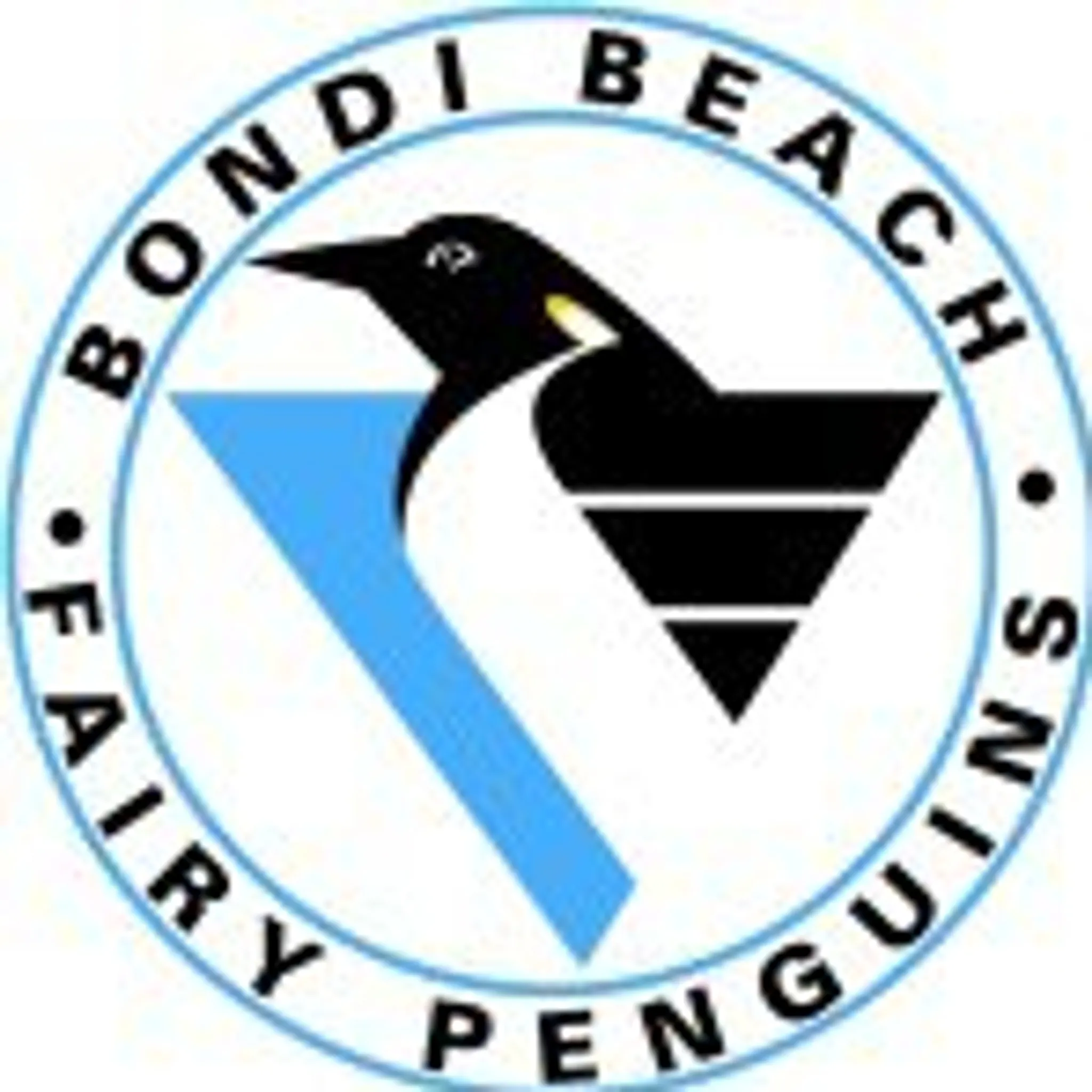 Bondi Penguins