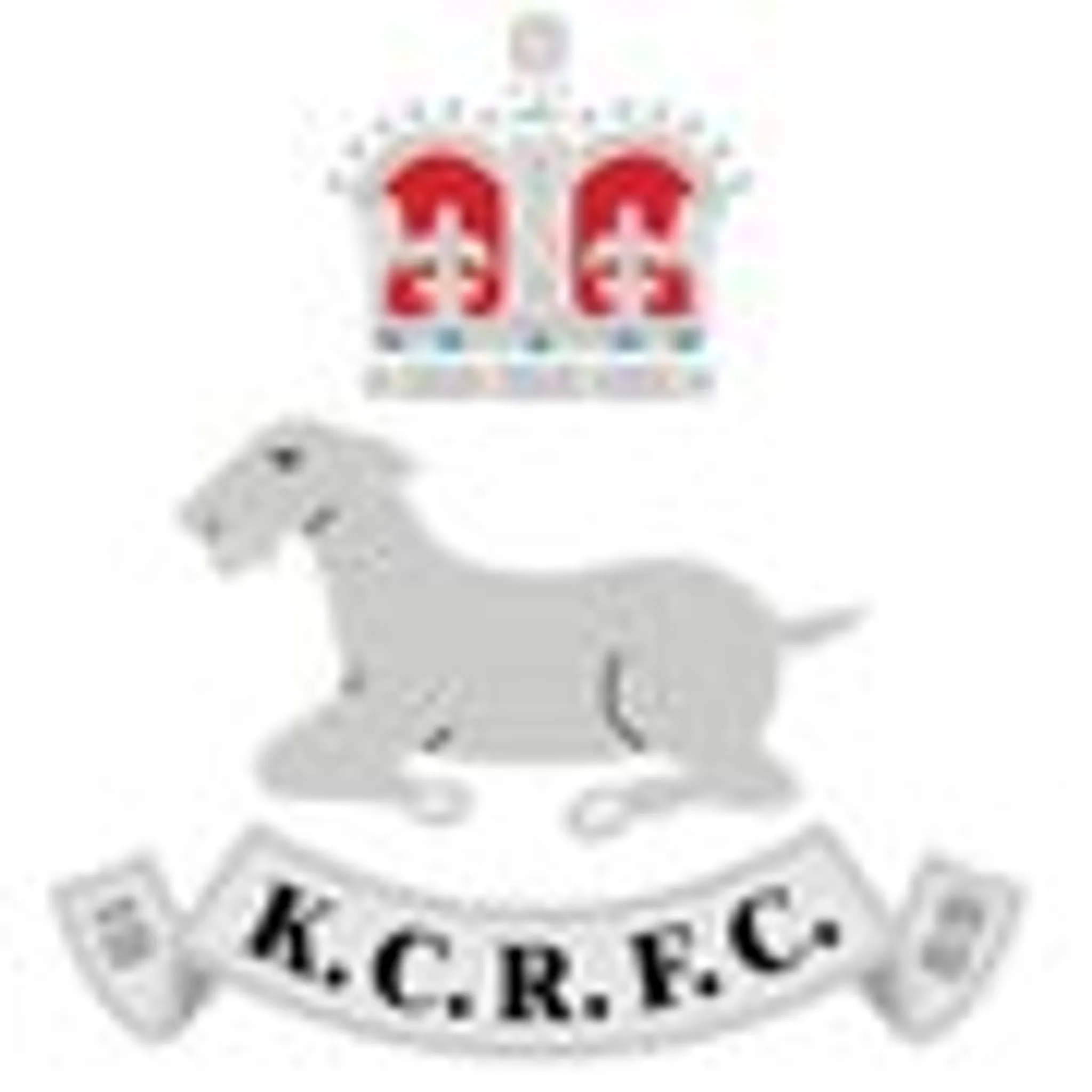 Kidderminster Carolians R.F.C
