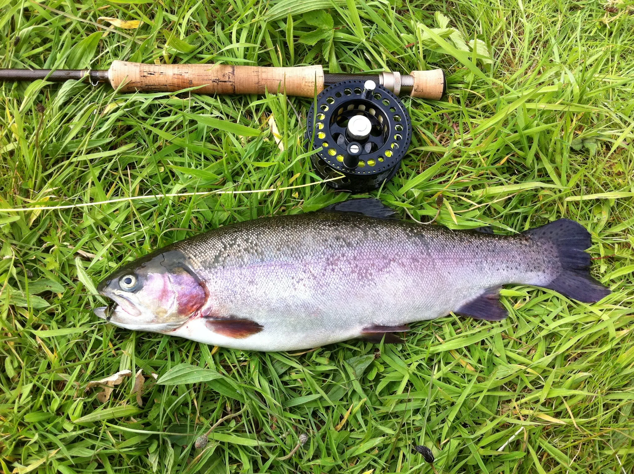 Mallard Flyfishers Syndicate