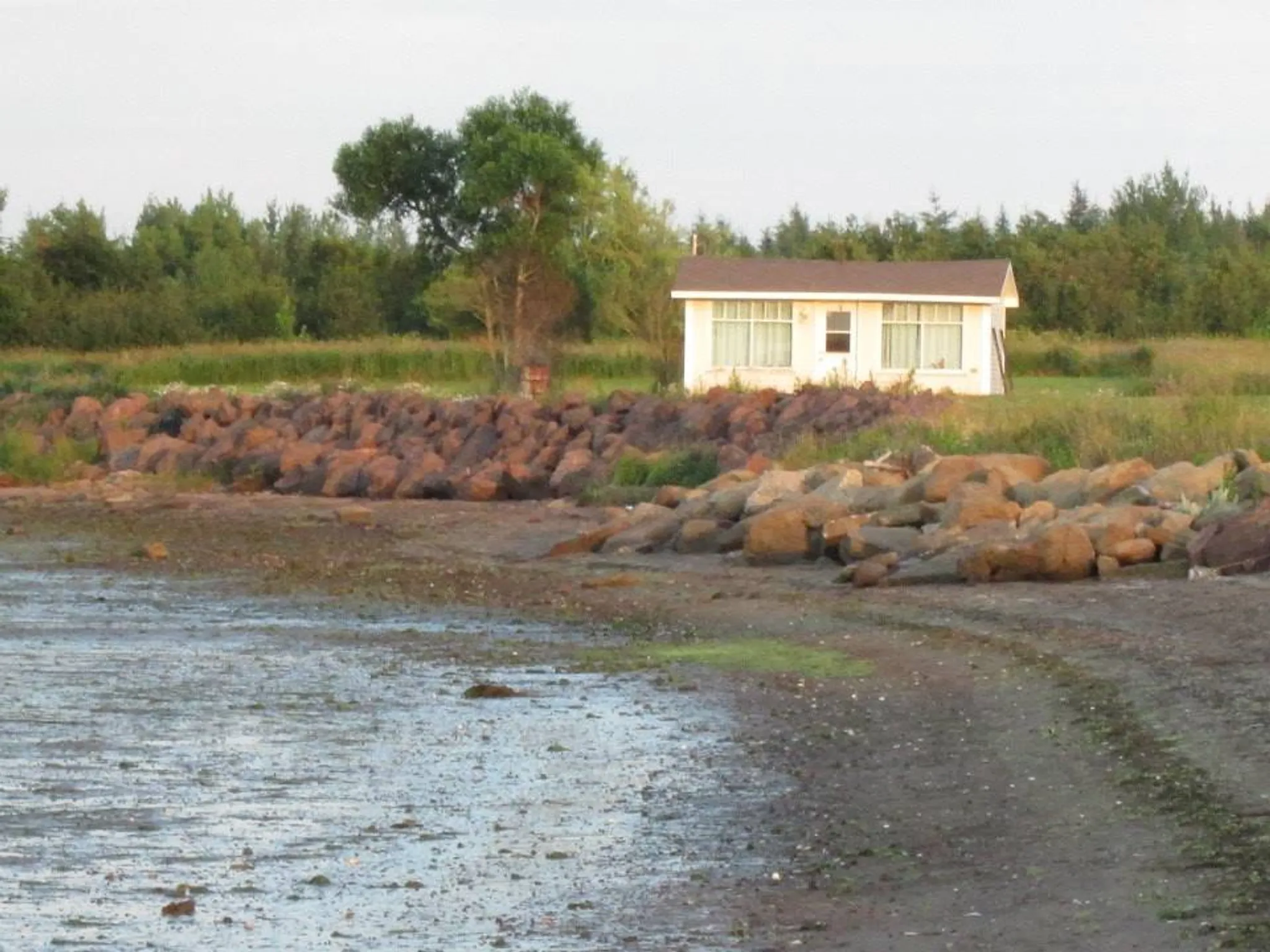 Kathy Bourgeois, MSW, RYT