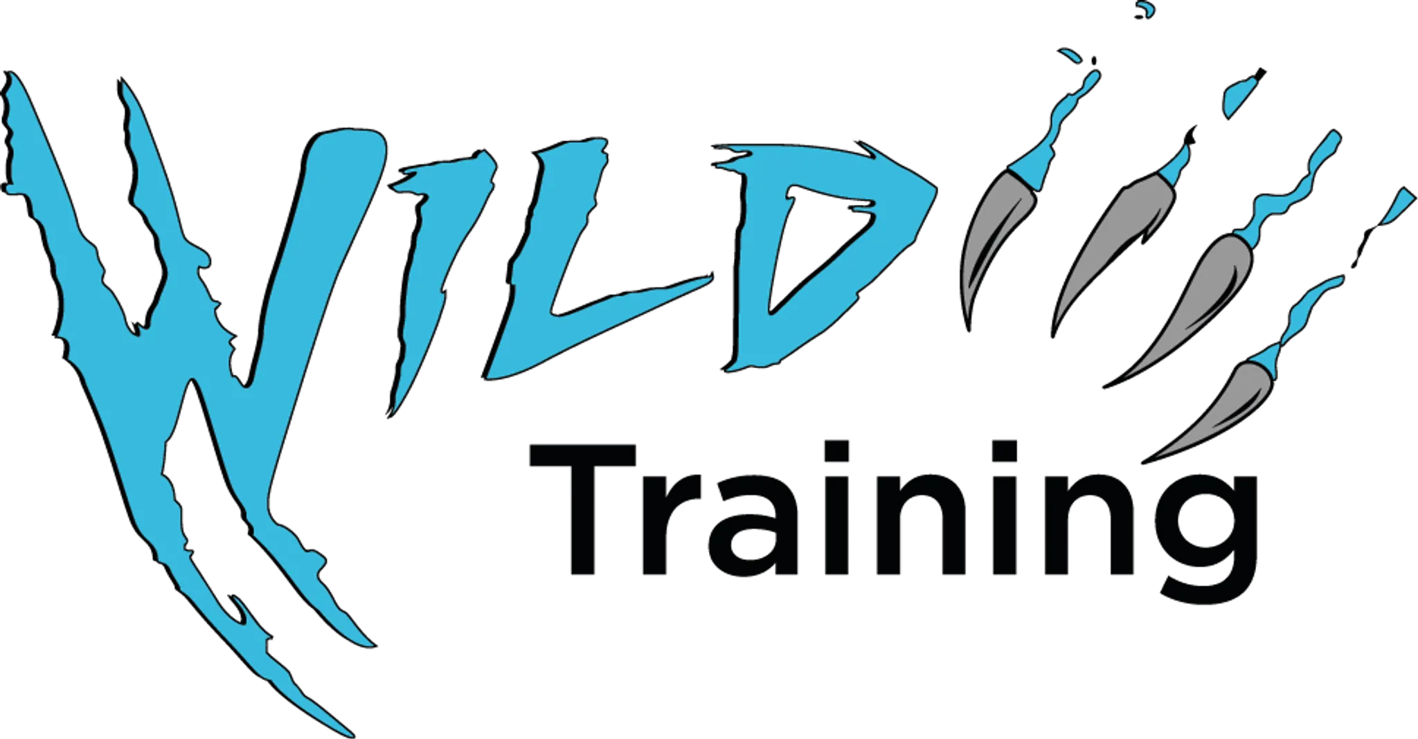 Wild Training Studios