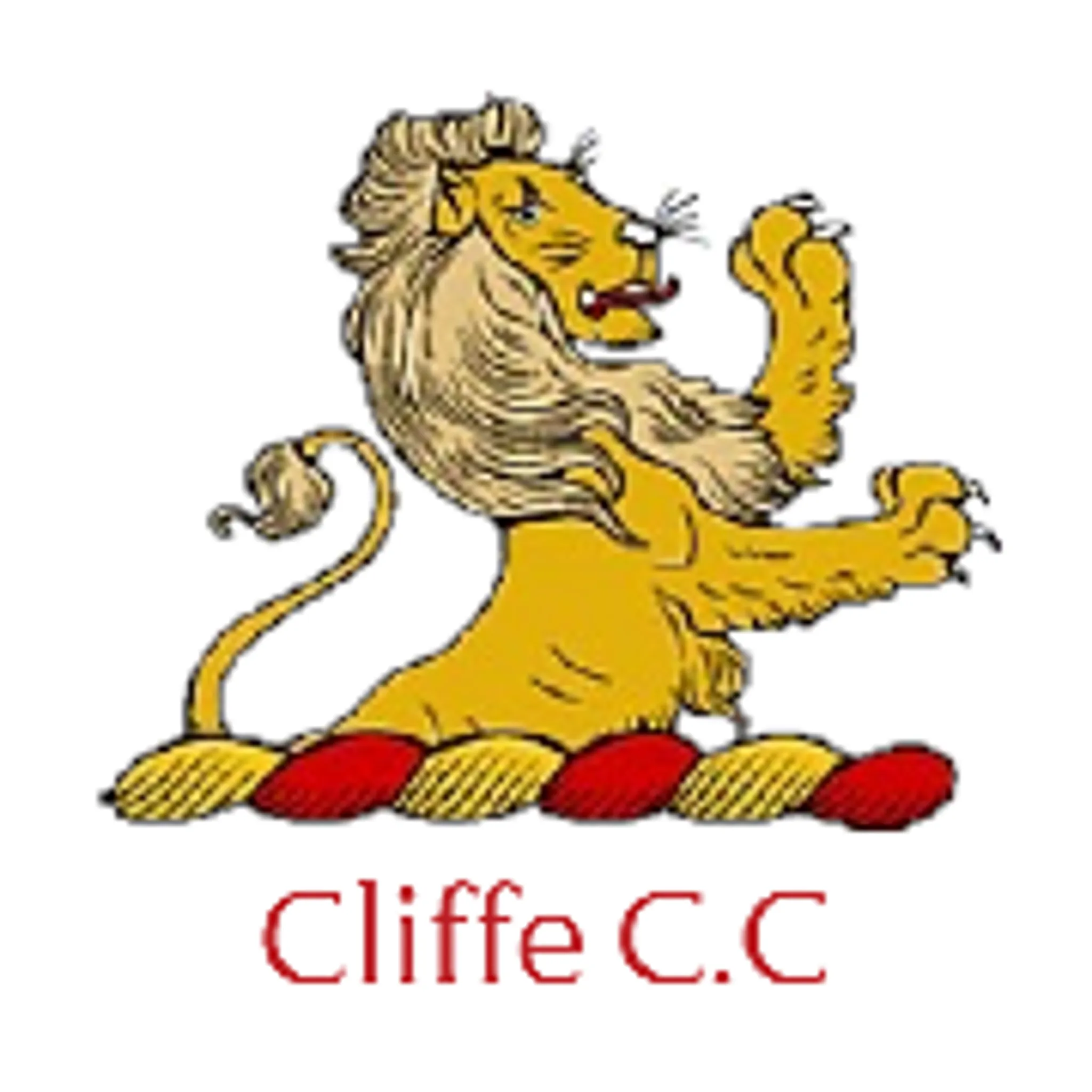 Cliffe Cricket Club