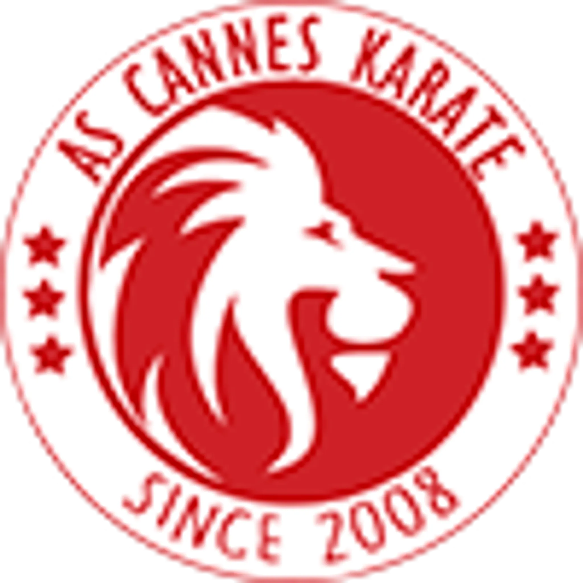 Blue Sports Cannes Karate