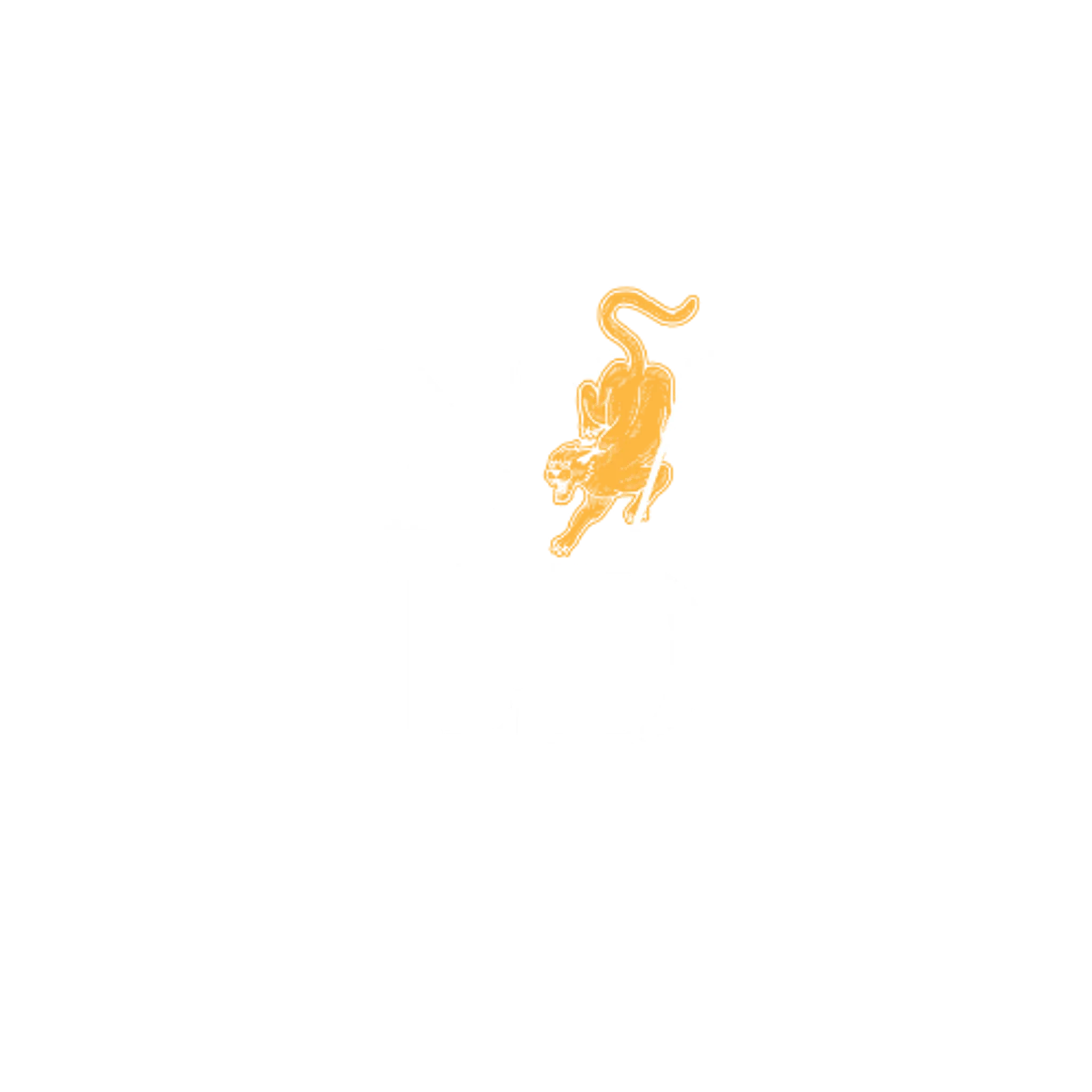 NVLD Fitness