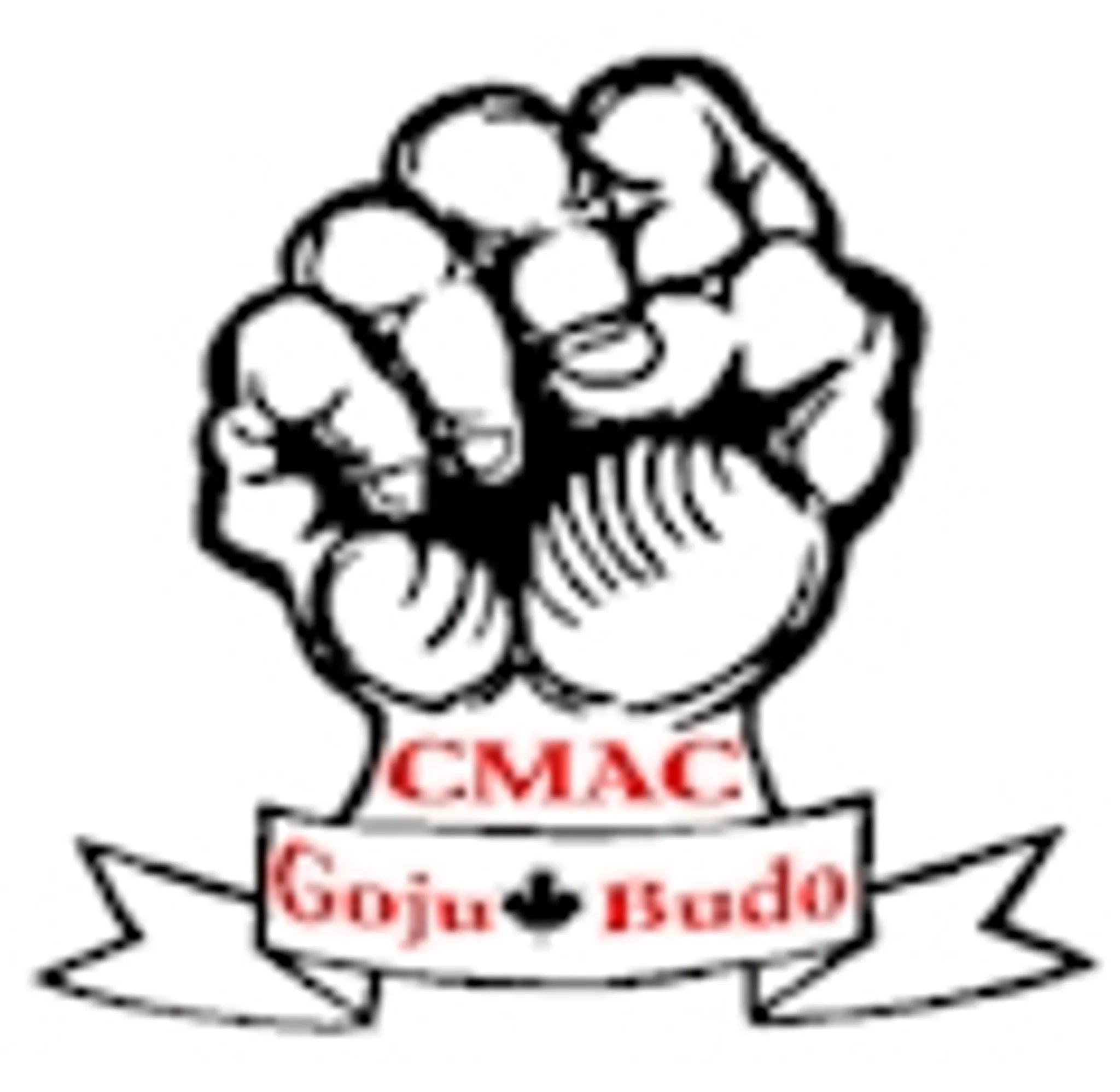 Classic Martial Arts Centre Toronto Beaches Dojo