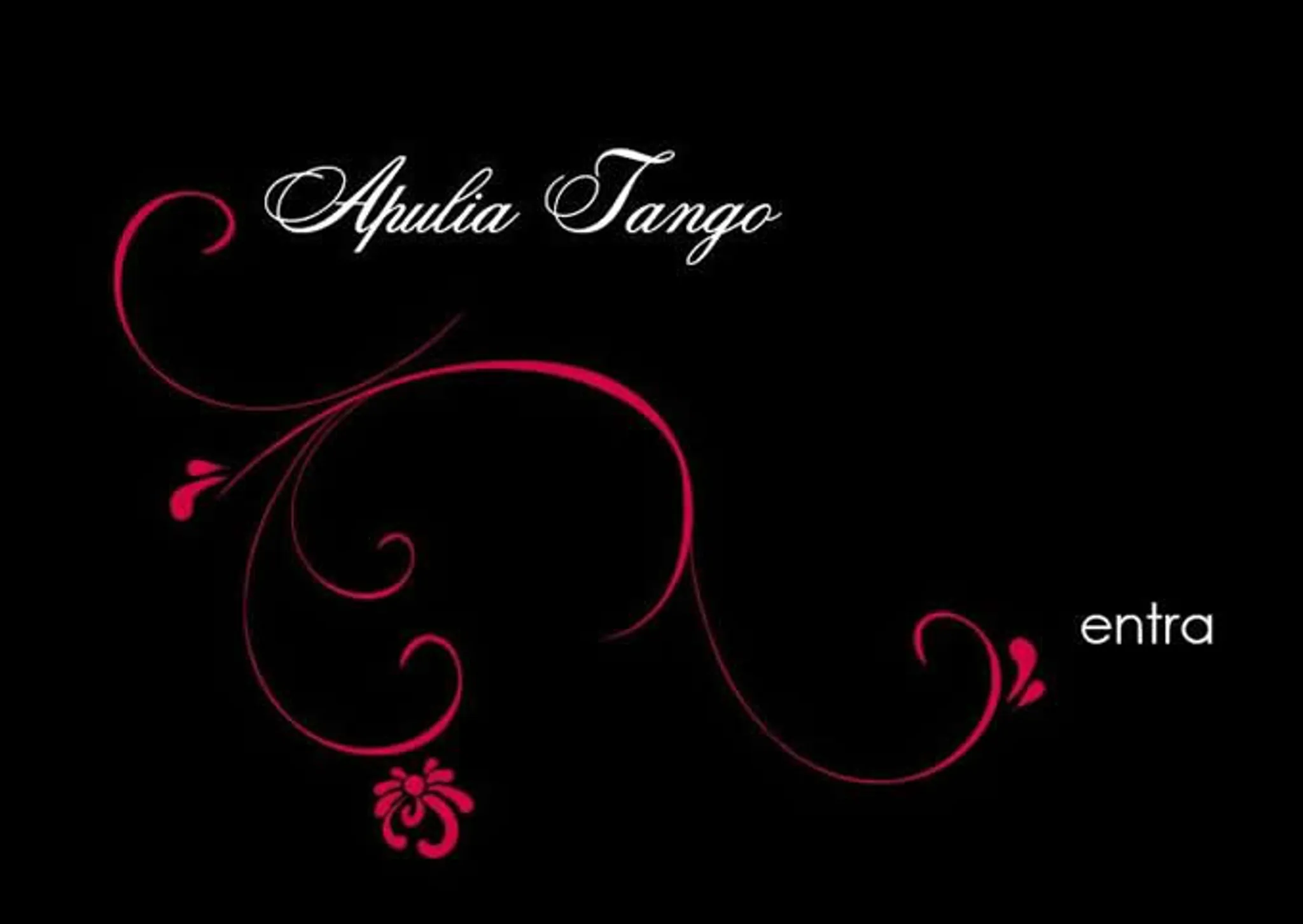 Accademia Stabile di Tango Argentino APULIA TANGO BARI