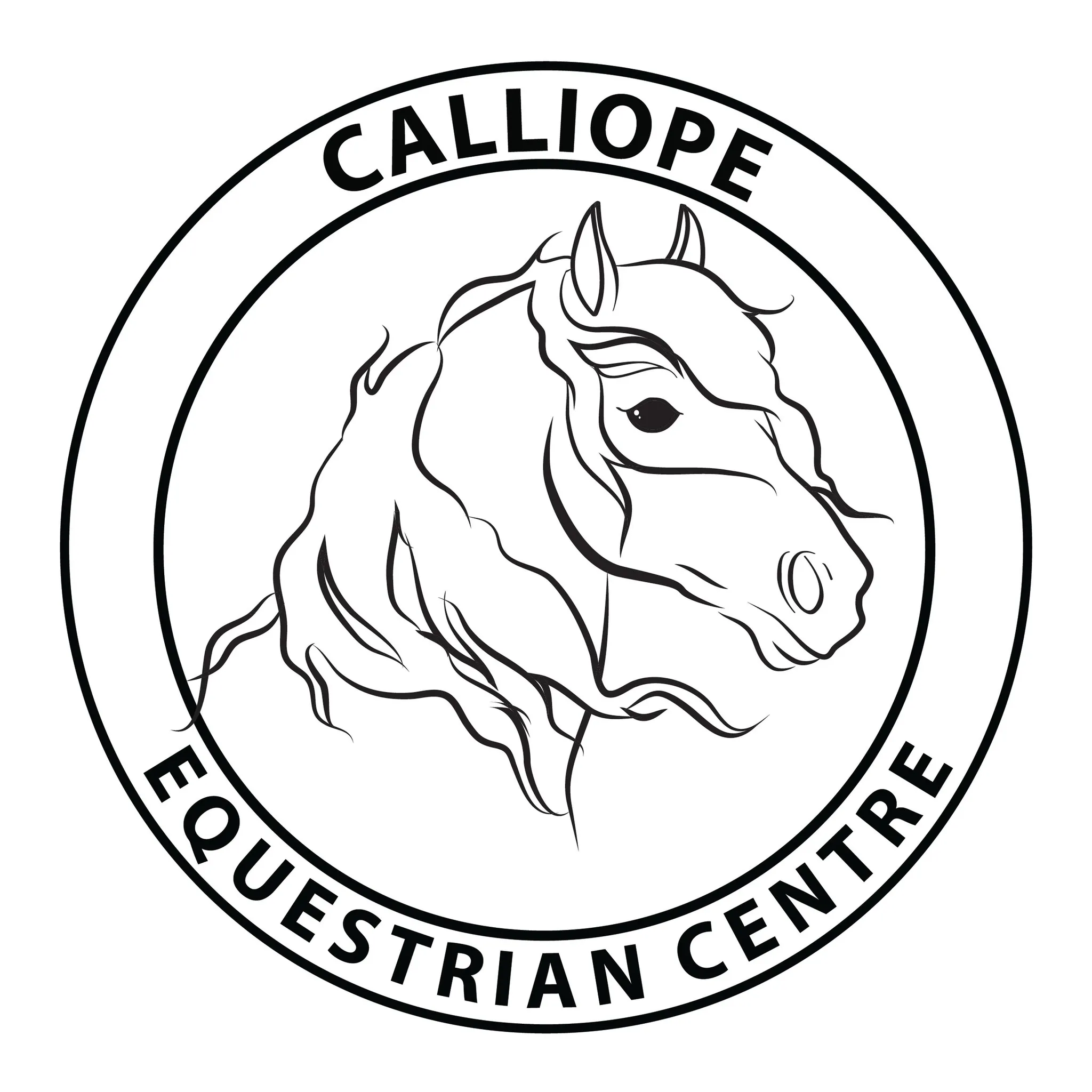 Dusty Rose Performance Horses 