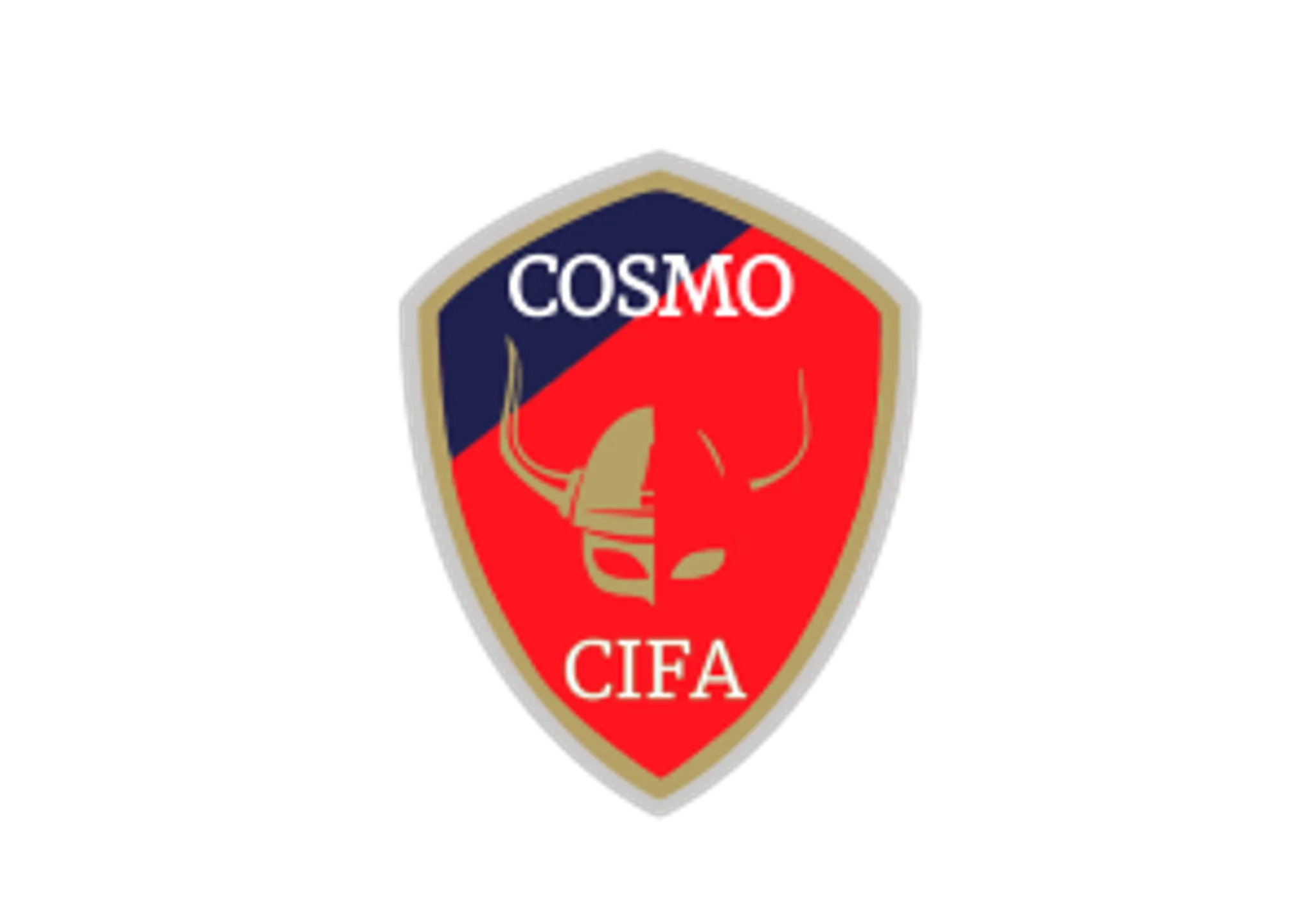 Cosmo International Football Academy