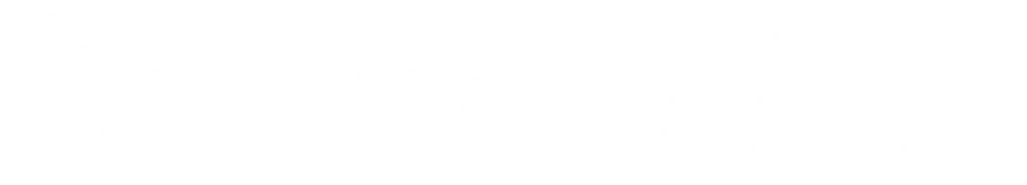 Chrome Kittens Pole & Dance