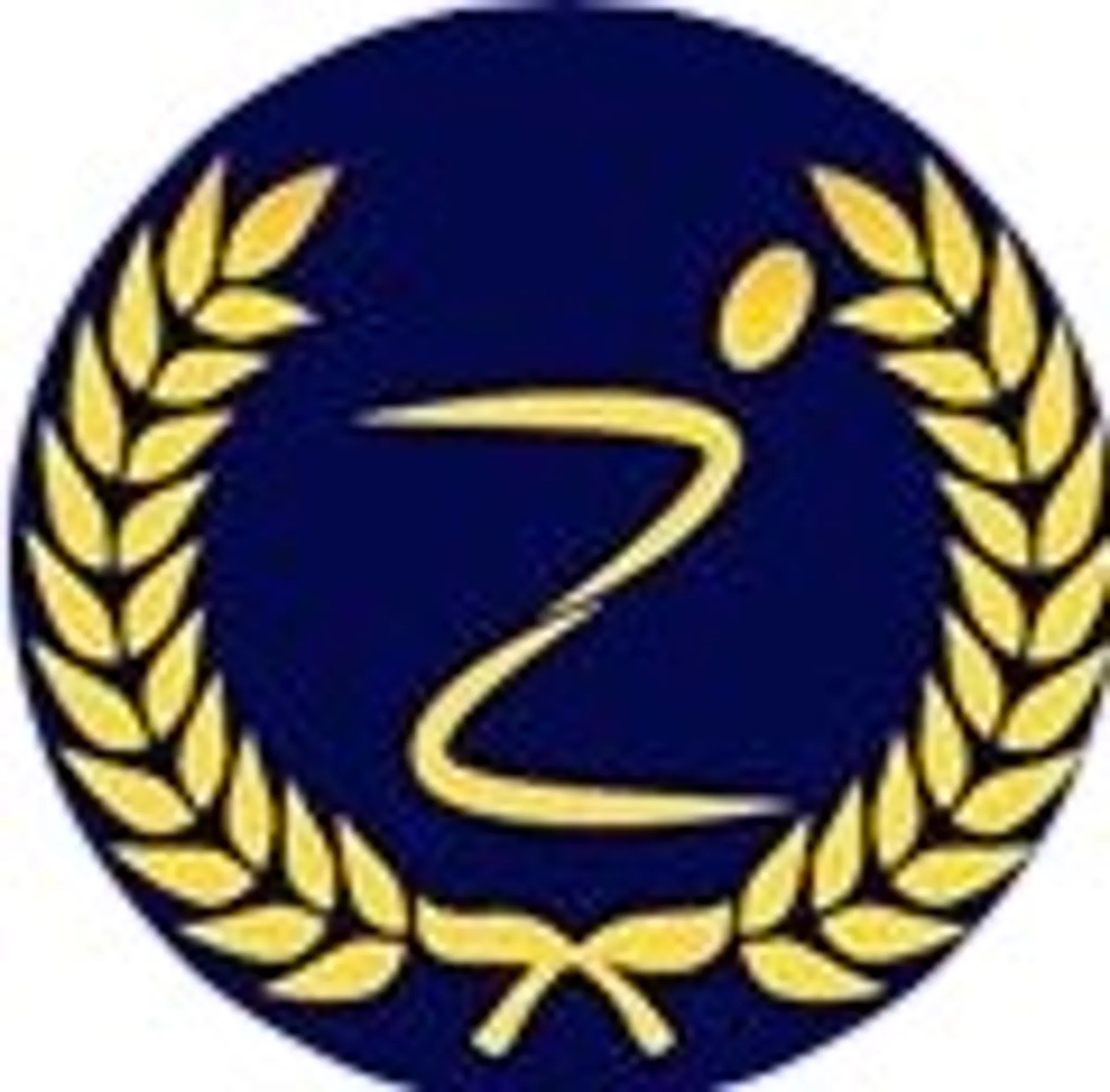 Amazing Fitness Professional