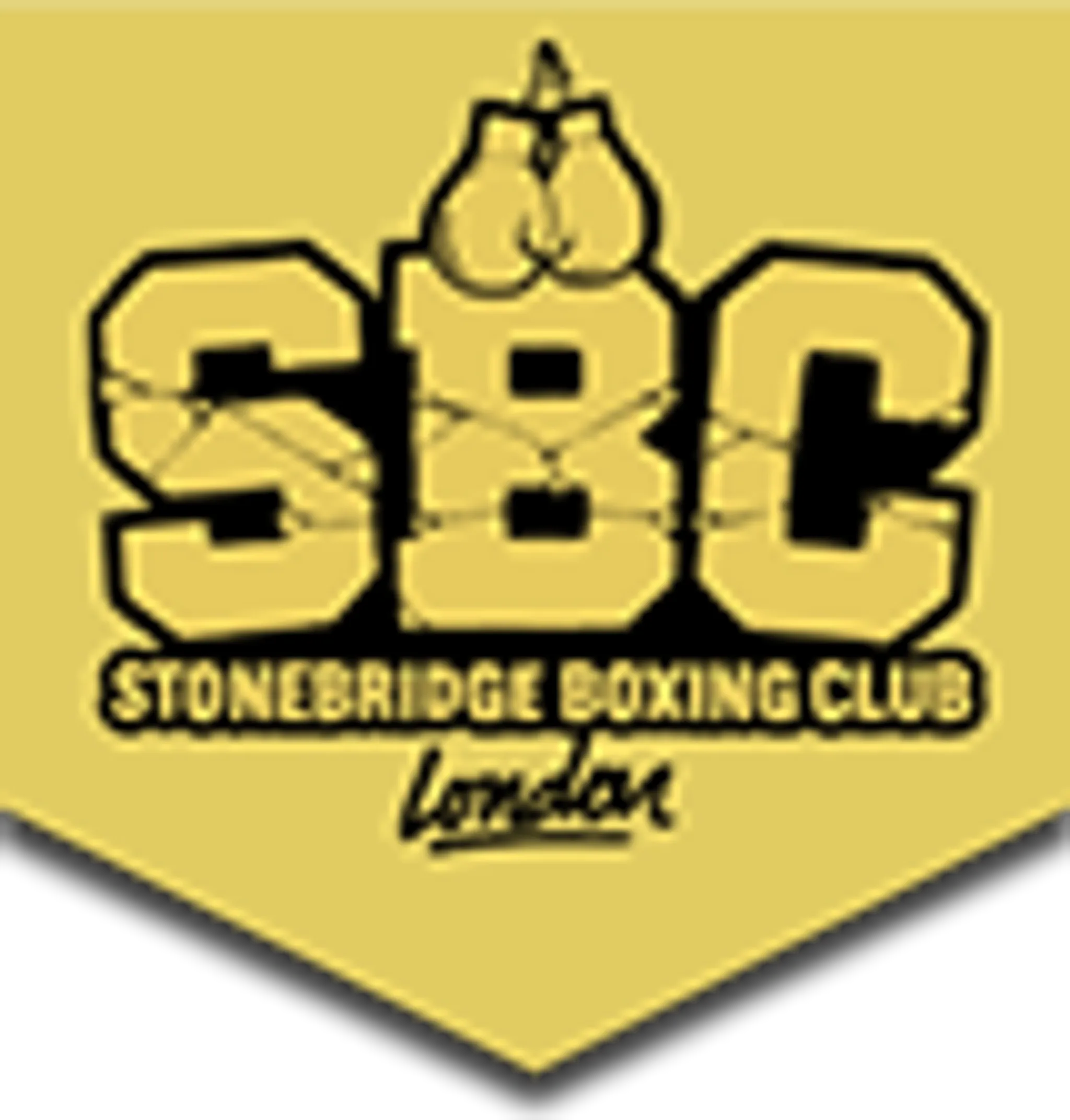 Stonebridge Boxing Club