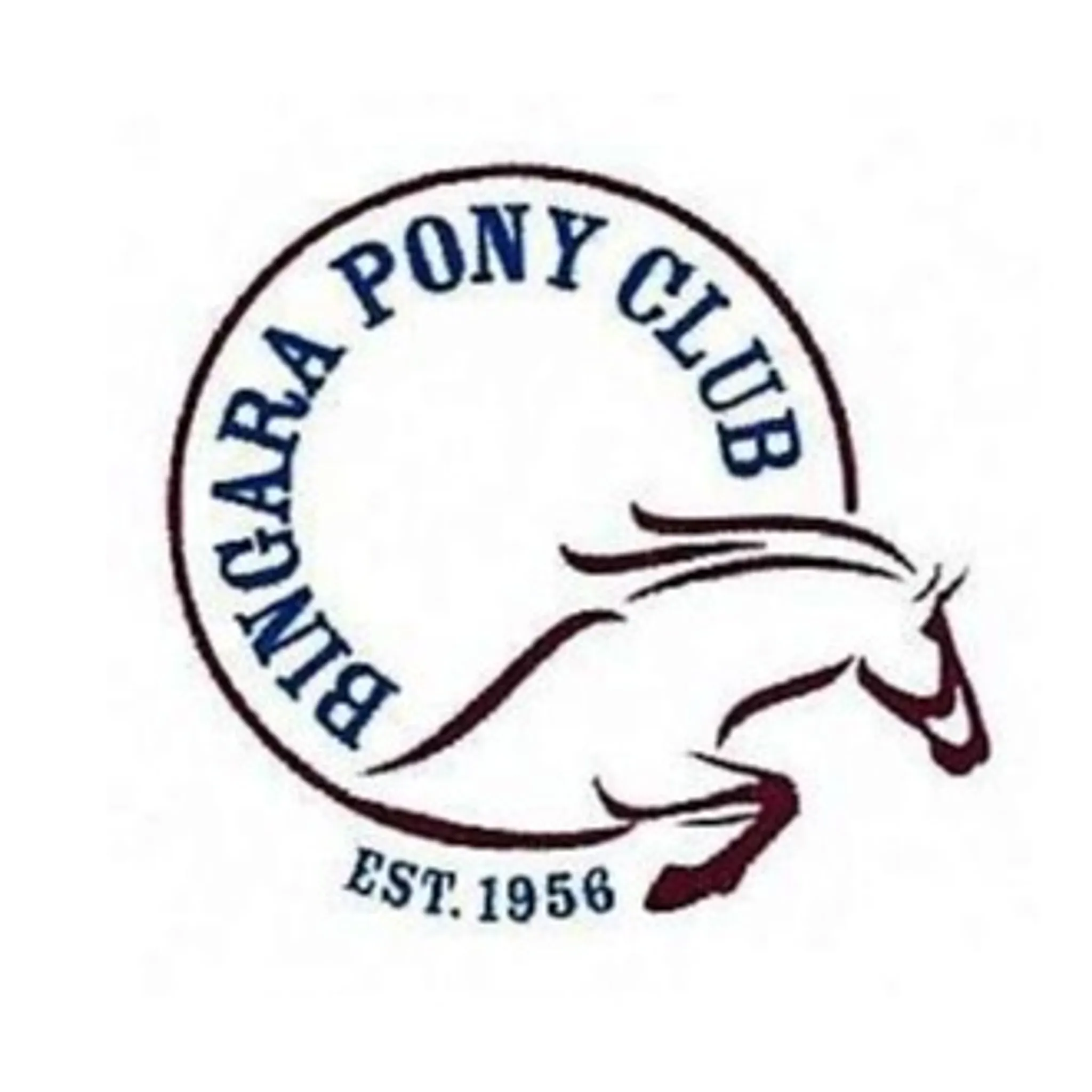 Bingara Pony Club